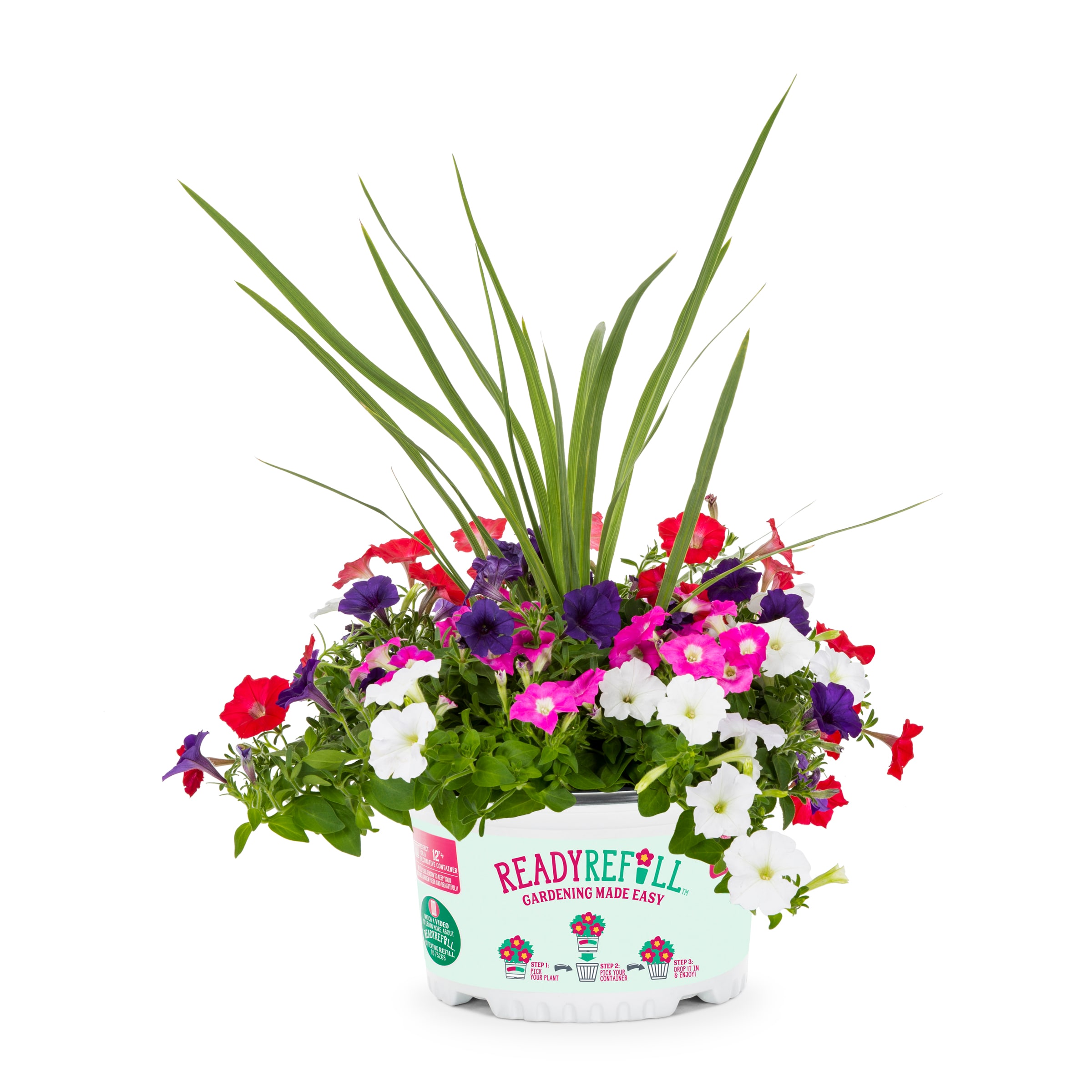 Ready Refill NURSERY Multicolor Pirate's Beauty in 1.5 Gallon(s) Pot