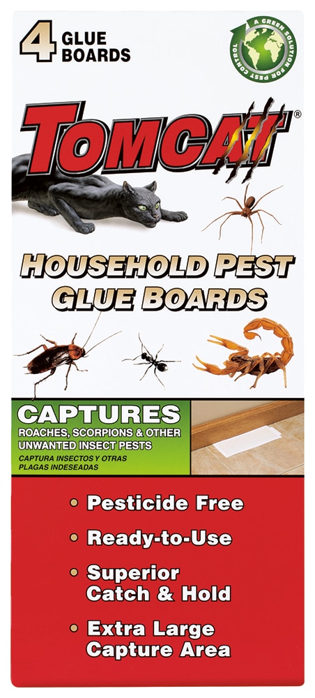 Extra Large Rat & Mouse Glue Traps - Enhanced Stickiness for Maximum Pest  Control - Traps Spiders, Roaches & More!