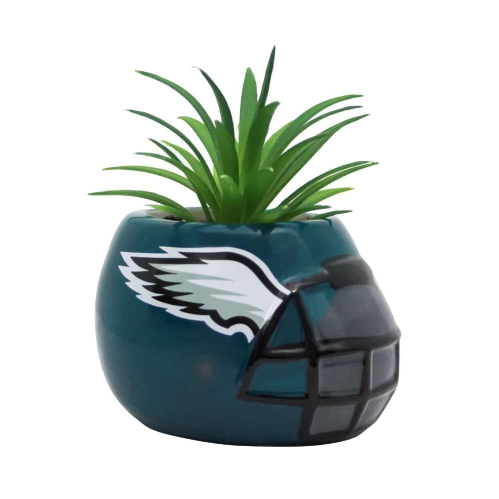 Philadelphia Eagles CUSTOM Matte White - Metallic Silver Mini