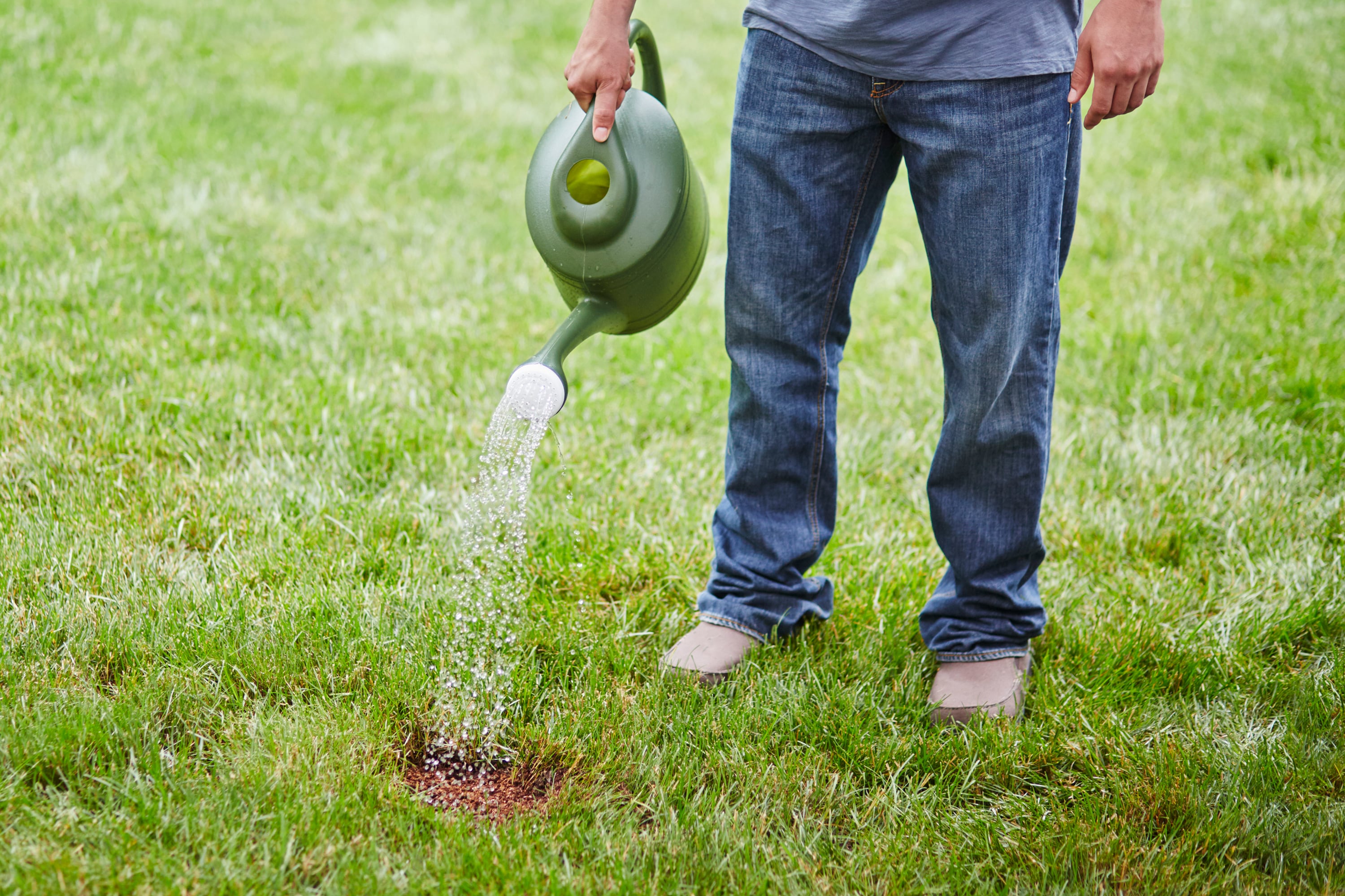 Scotts 17599 Lawn-Repair-Mix - View #3