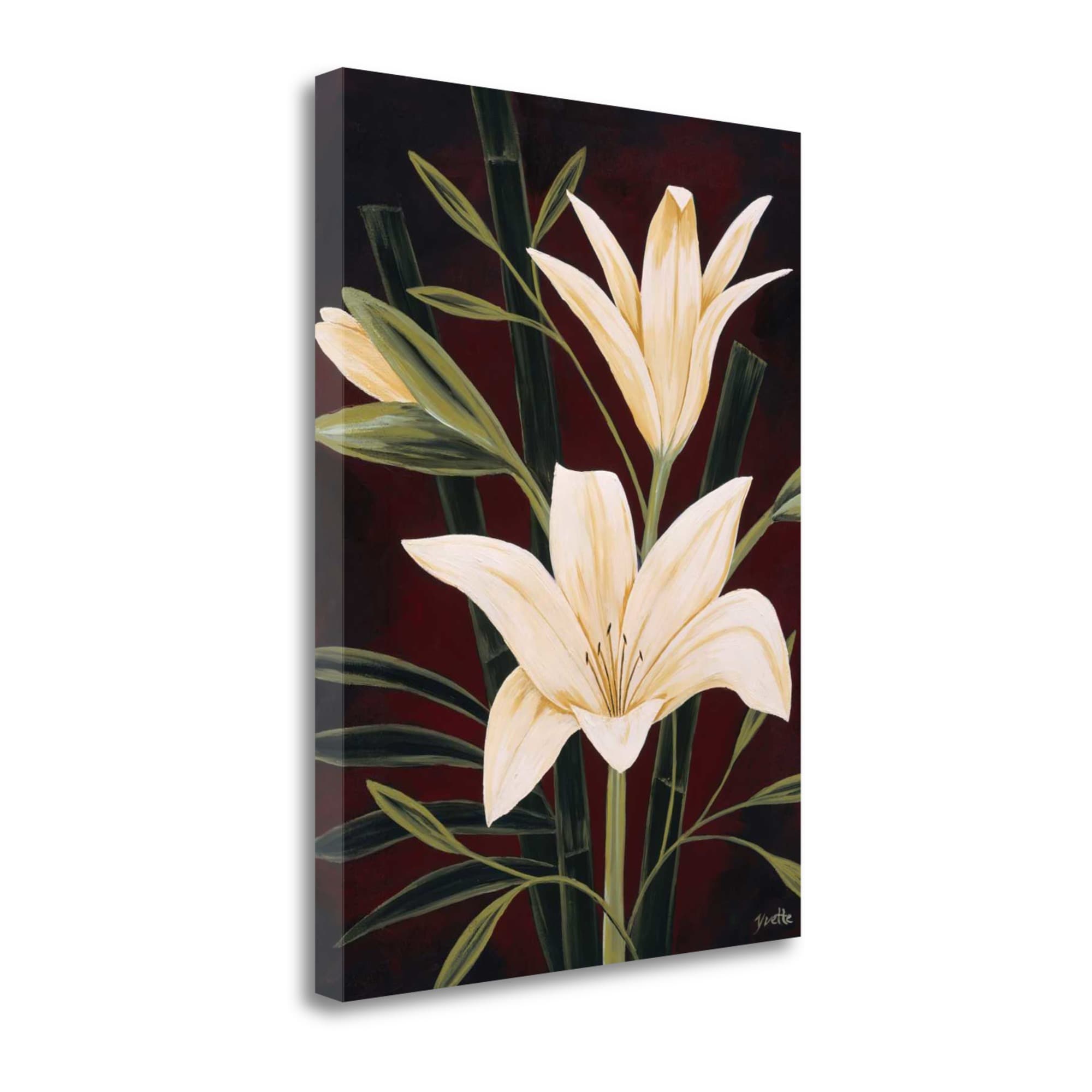 Tangletown Fine Art Botanical Elegance I Yvette St. Amant 38-in H x 28 ...