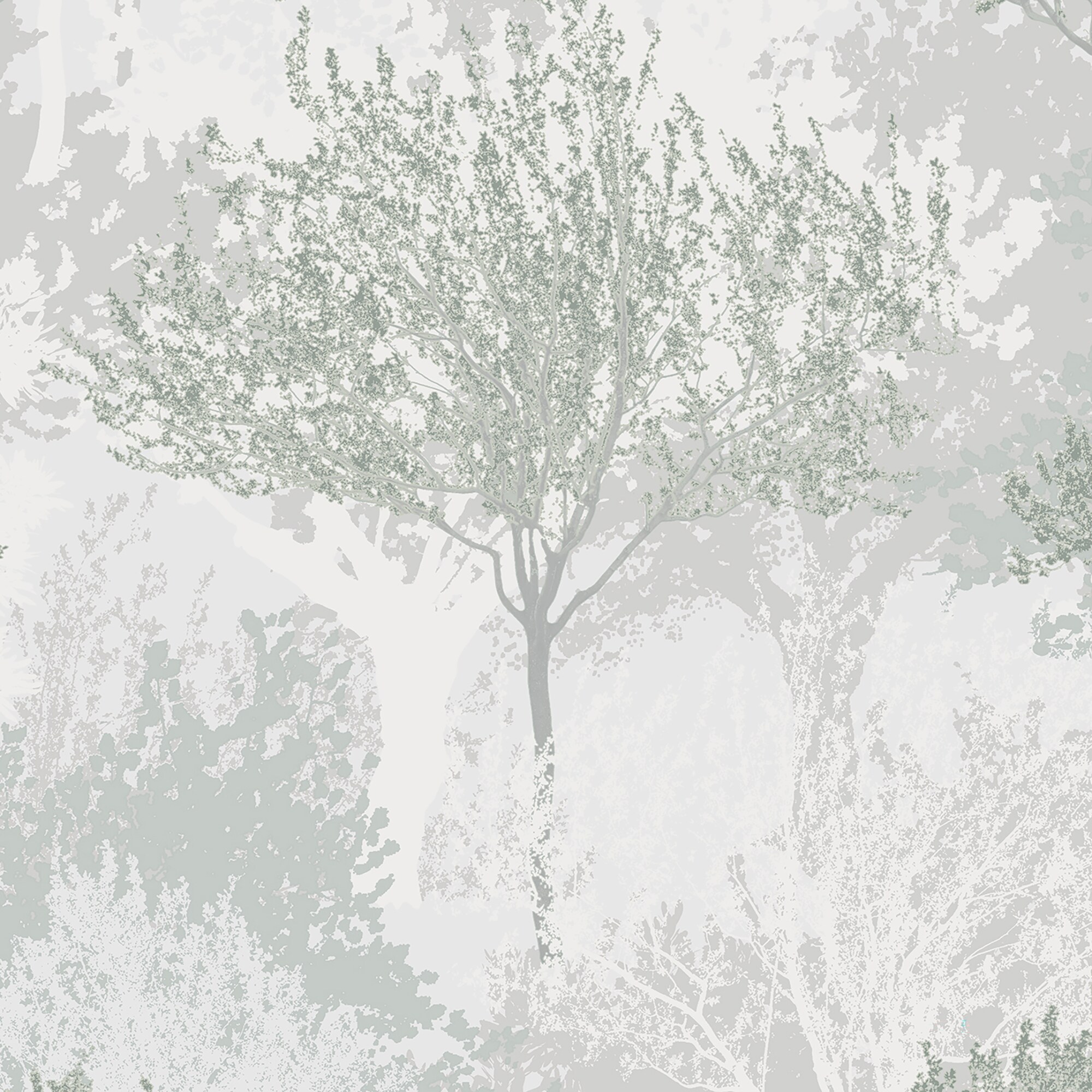 Sage and White Birch Tree Forest Wallpaper