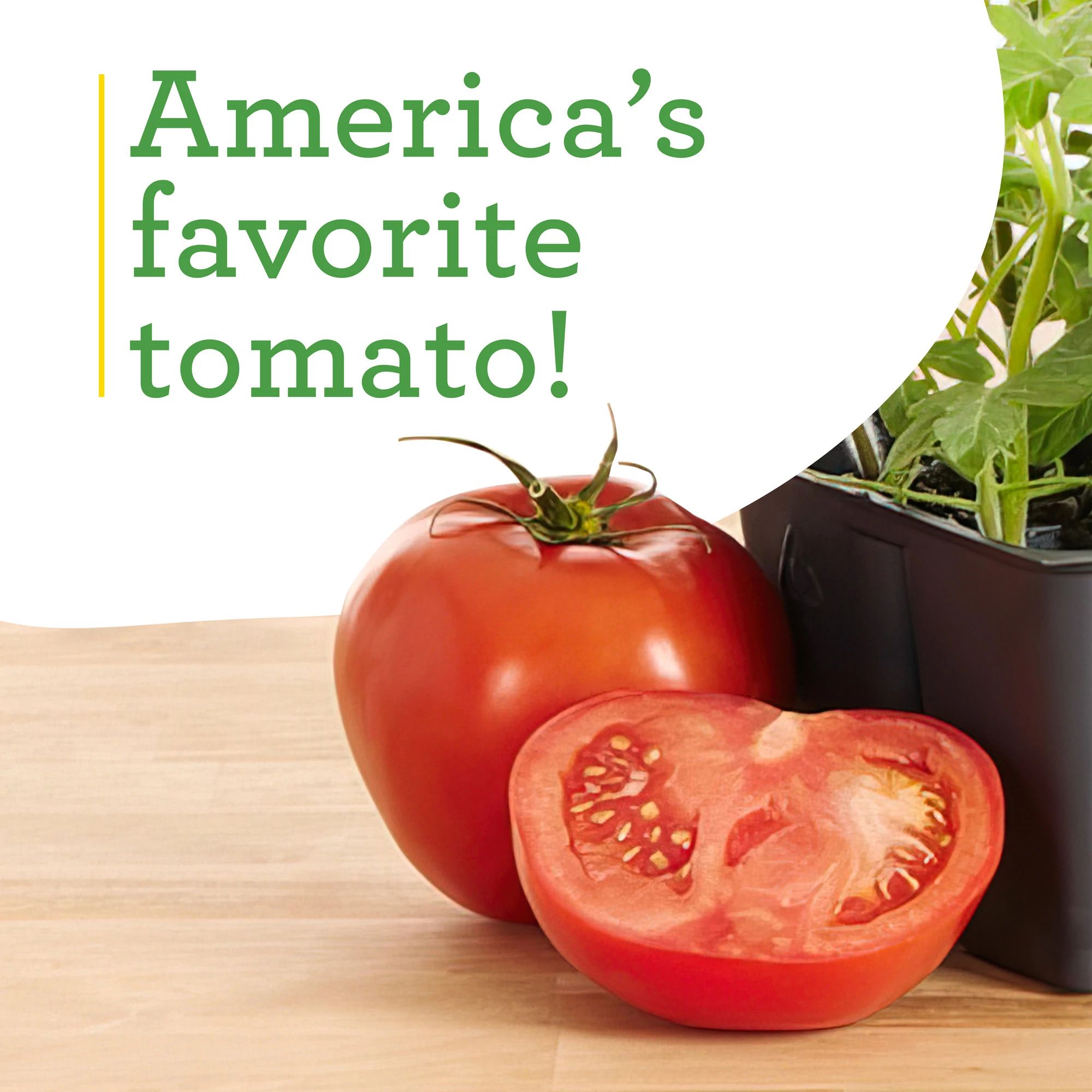 Bonnie Plants 16-331069 Vegetable-Plants - View #6