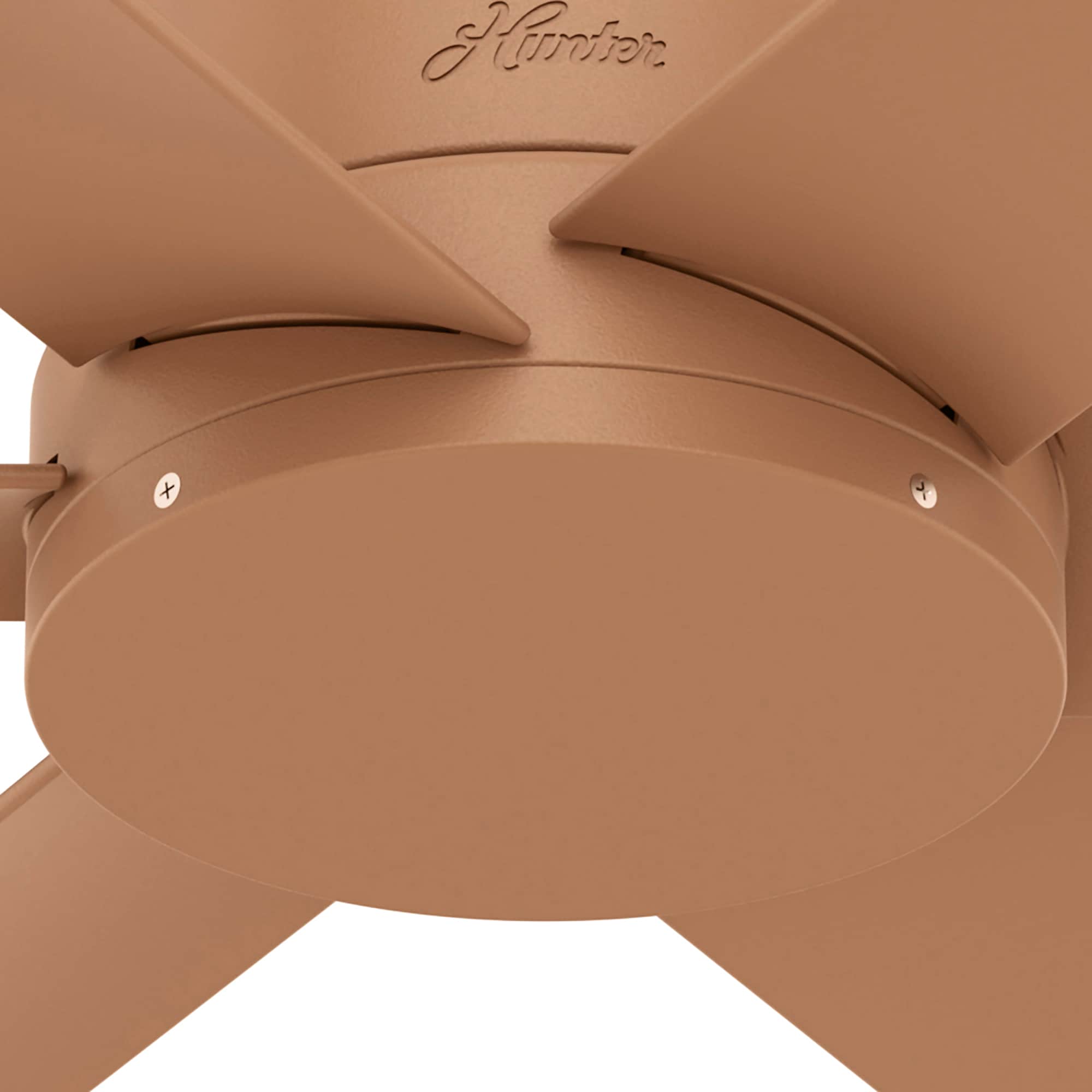 Hunter 51468 Ceiling-Fans - View #13