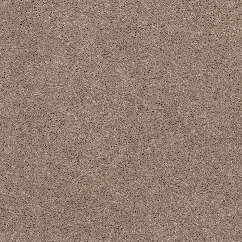 STAINMASTER STP43-L011-0808 (Sample) Soothing Space I Palisade Brown 45-oz sq yard Polyester Textured Indoor Carpet