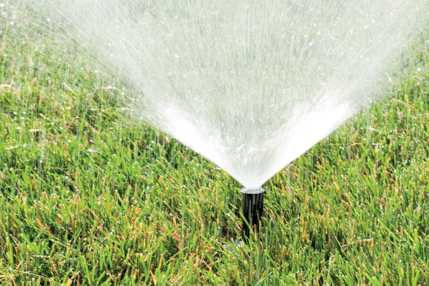 Rain Bird 1800 Professional 8-ft- 15-ft Pop-up Spray Head Sprinkler in ...