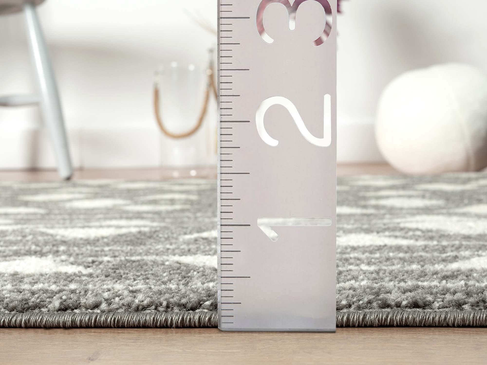 Abani Rugs CAS300A-5 rugs - View #7
