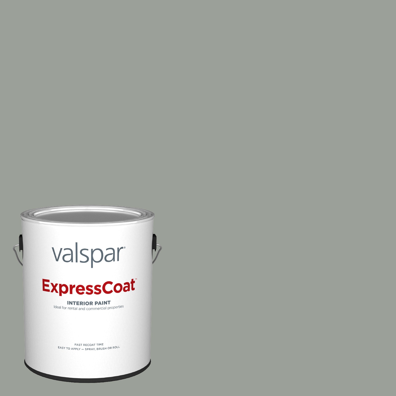 Valspar Pro ExpressCoat Eggshell Secret Moss 5005-2a Latex Interior ...