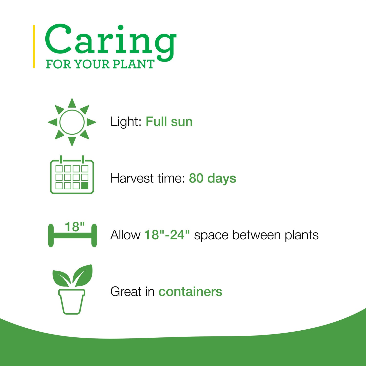 Bonnie Plants 202048 Vegetable-Plants - View #5