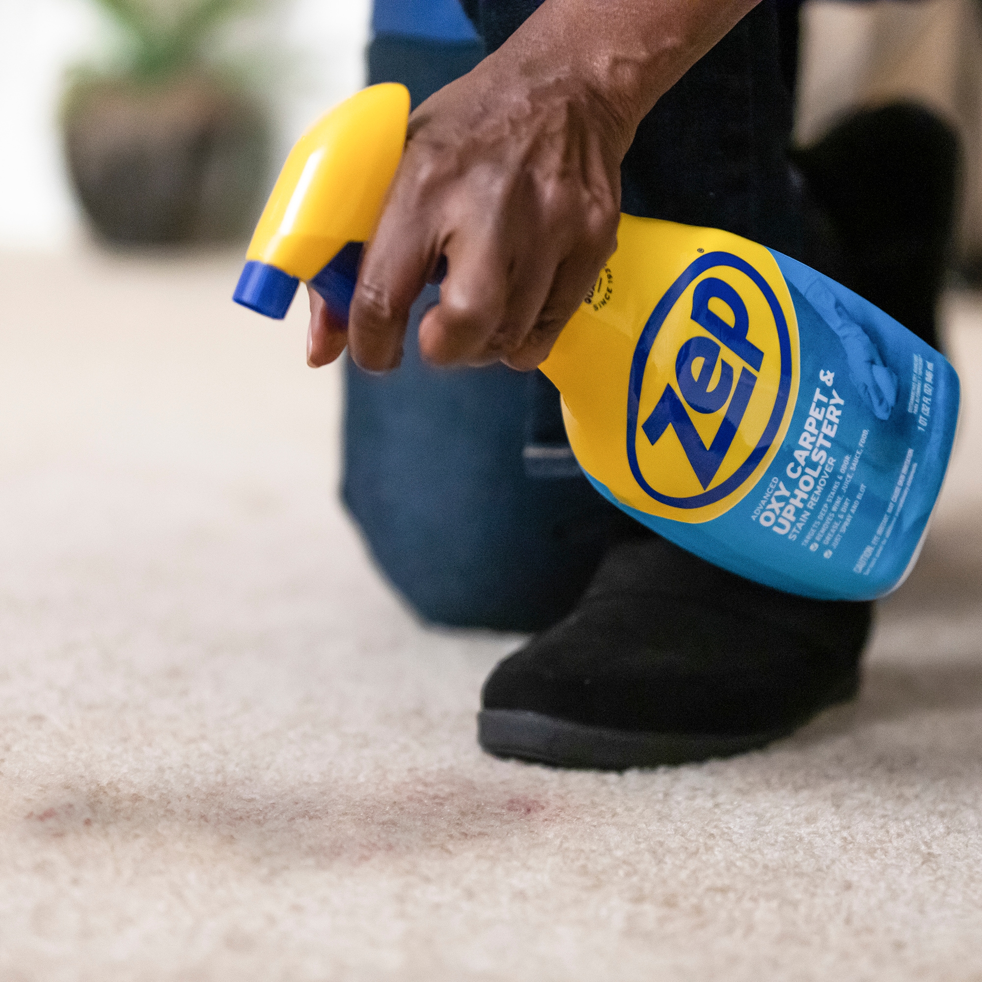 Best Carpet Stain Remover 2019 - Spot Shot Review
