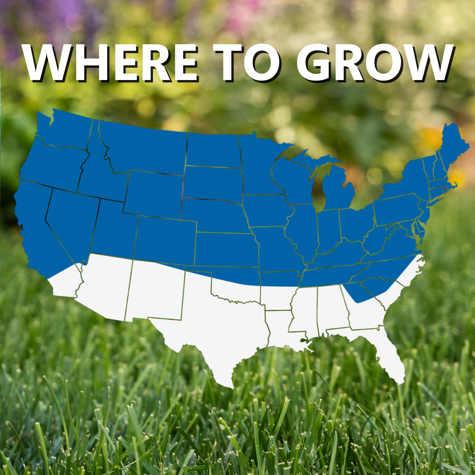 Jonathan Green DIB-C-701624QTY-1 Grass-Seed - View #3