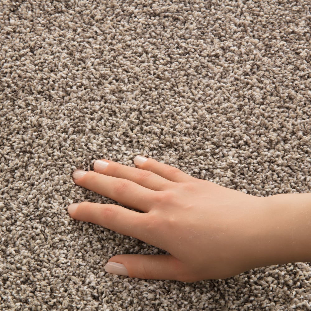 STAINMASTER PetProtect 7L965-122-SAMP Carpet-Samples - View #4