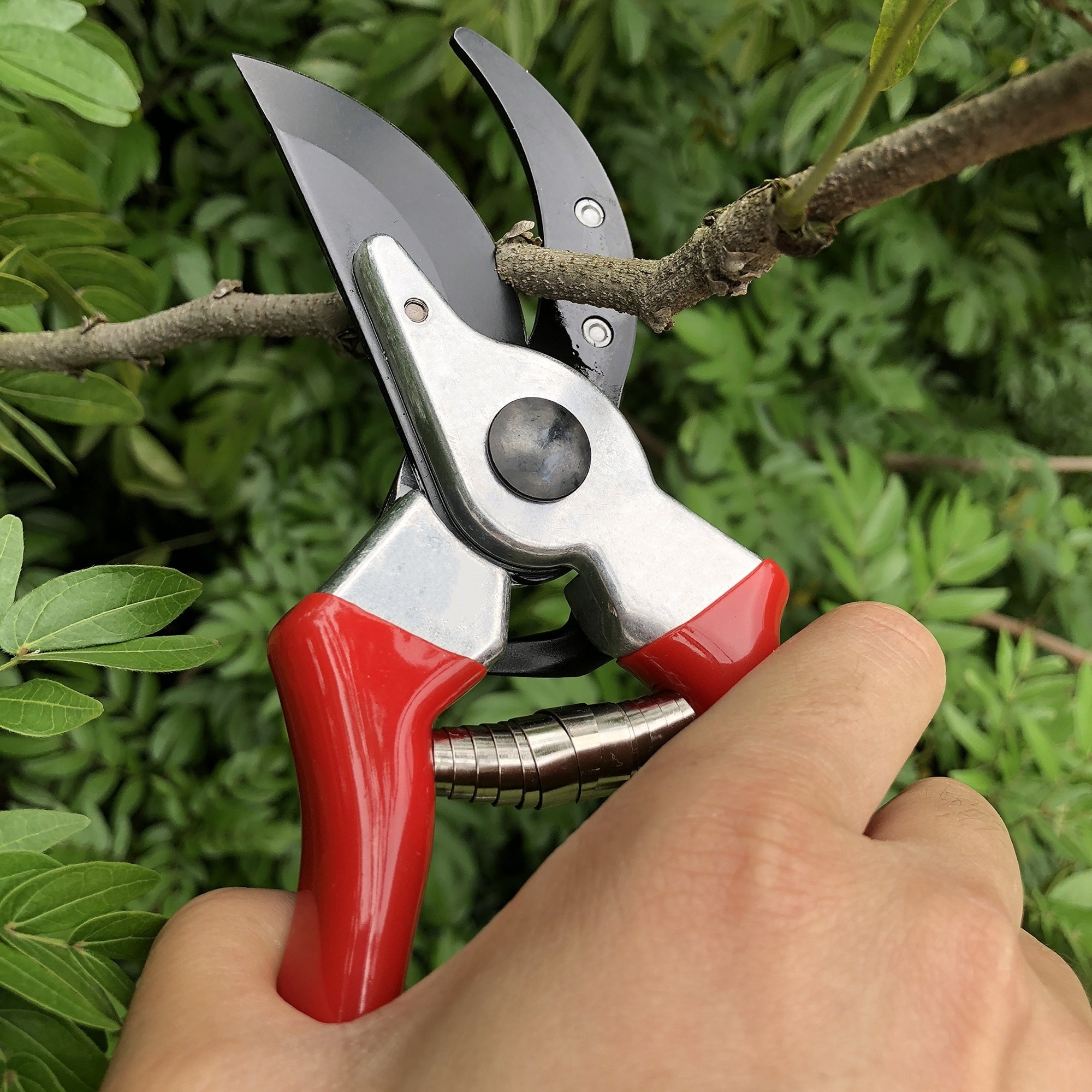Justincity K05JT13051 Floral-Scissors-Snips - View #5