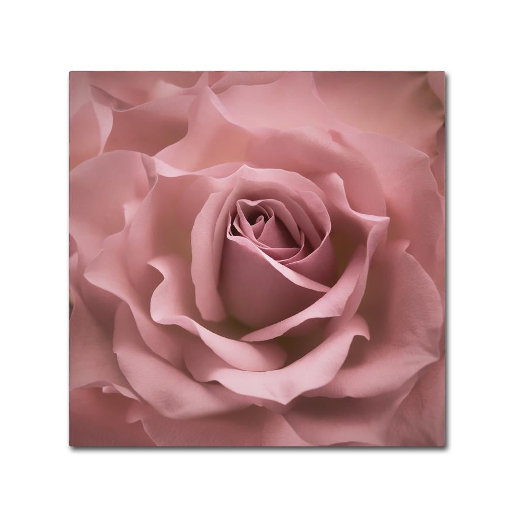 Trademark Fine Art ALI1757-C2424GG Wall-Art - View #2