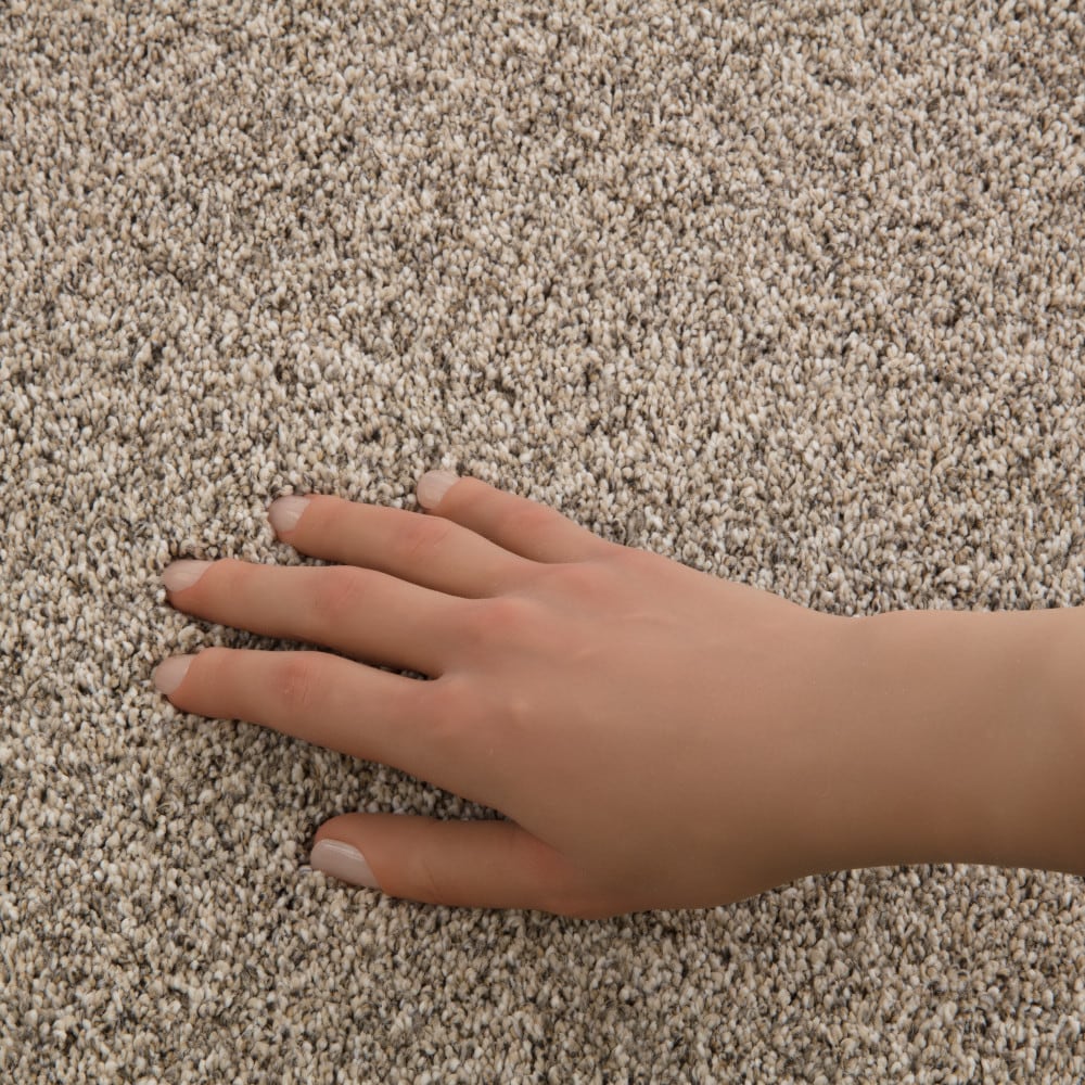 STAINMASTER PetProtect 7L940-150-SAMP Carpet-Samples - View #4