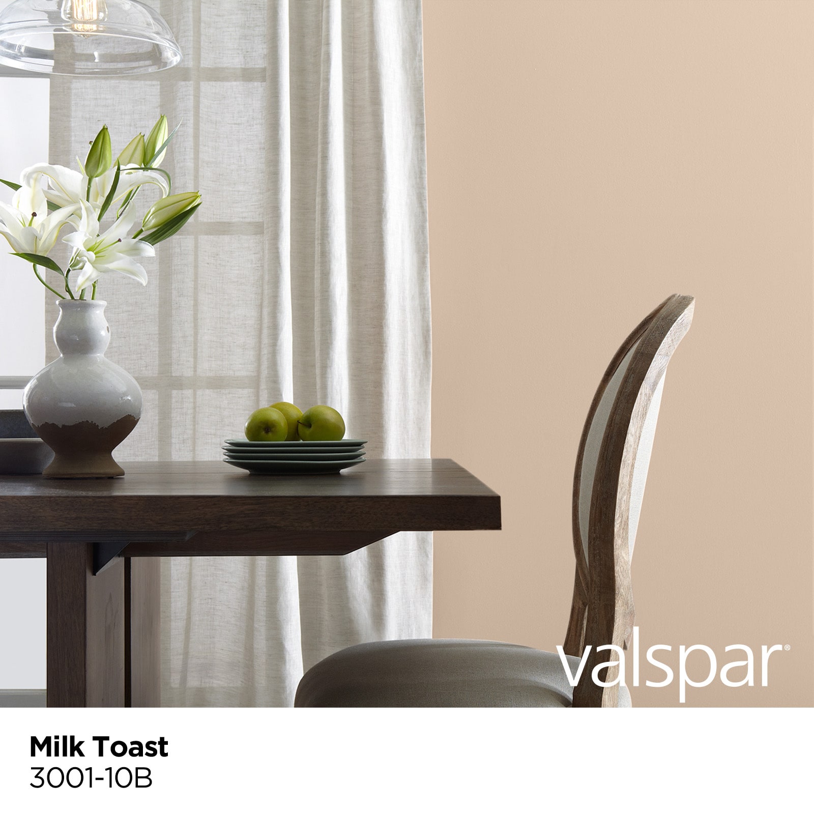 Valspar 3001-10B-26725 Int-Ext-Paint - View #3