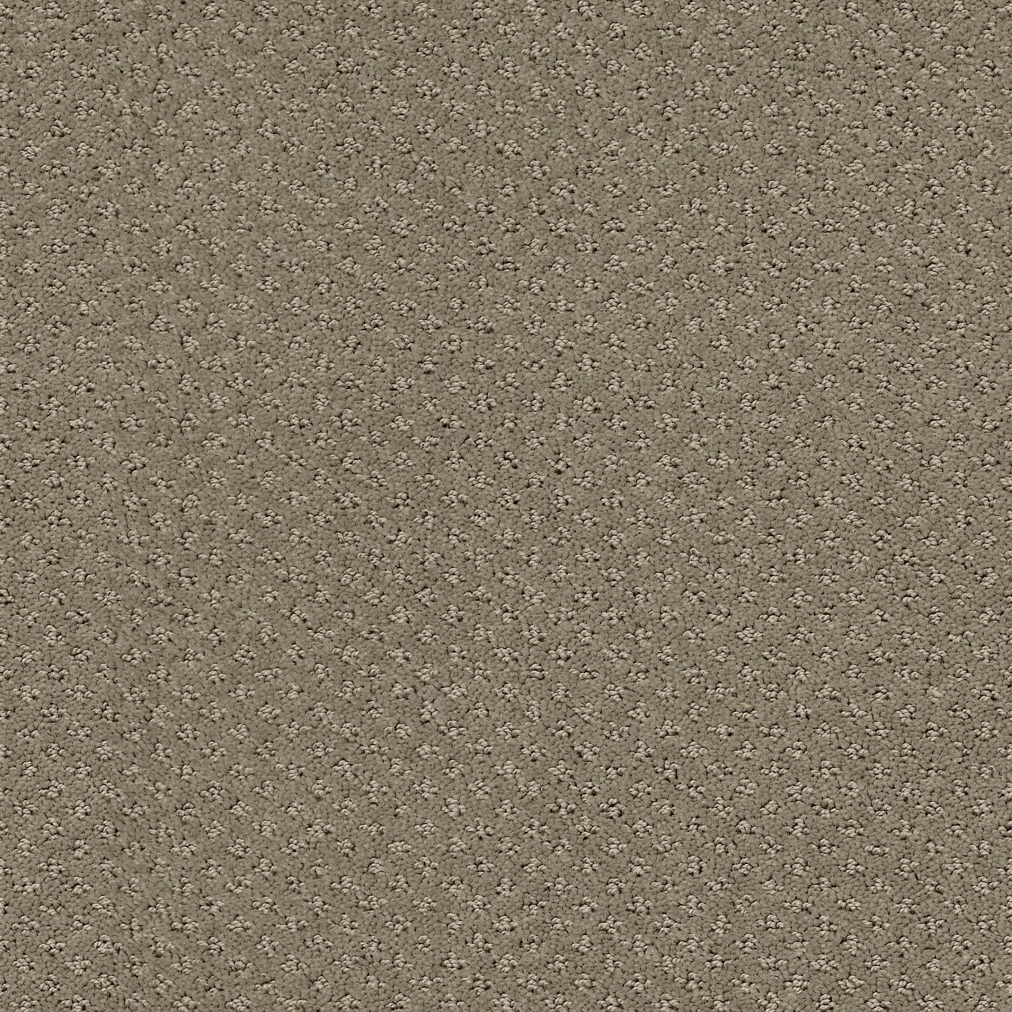 STAINMASTER 7L90500771 Crieve Hall Abbey Stone Brown 25-oz sq yard Nylon Pattern Indoor Carpet