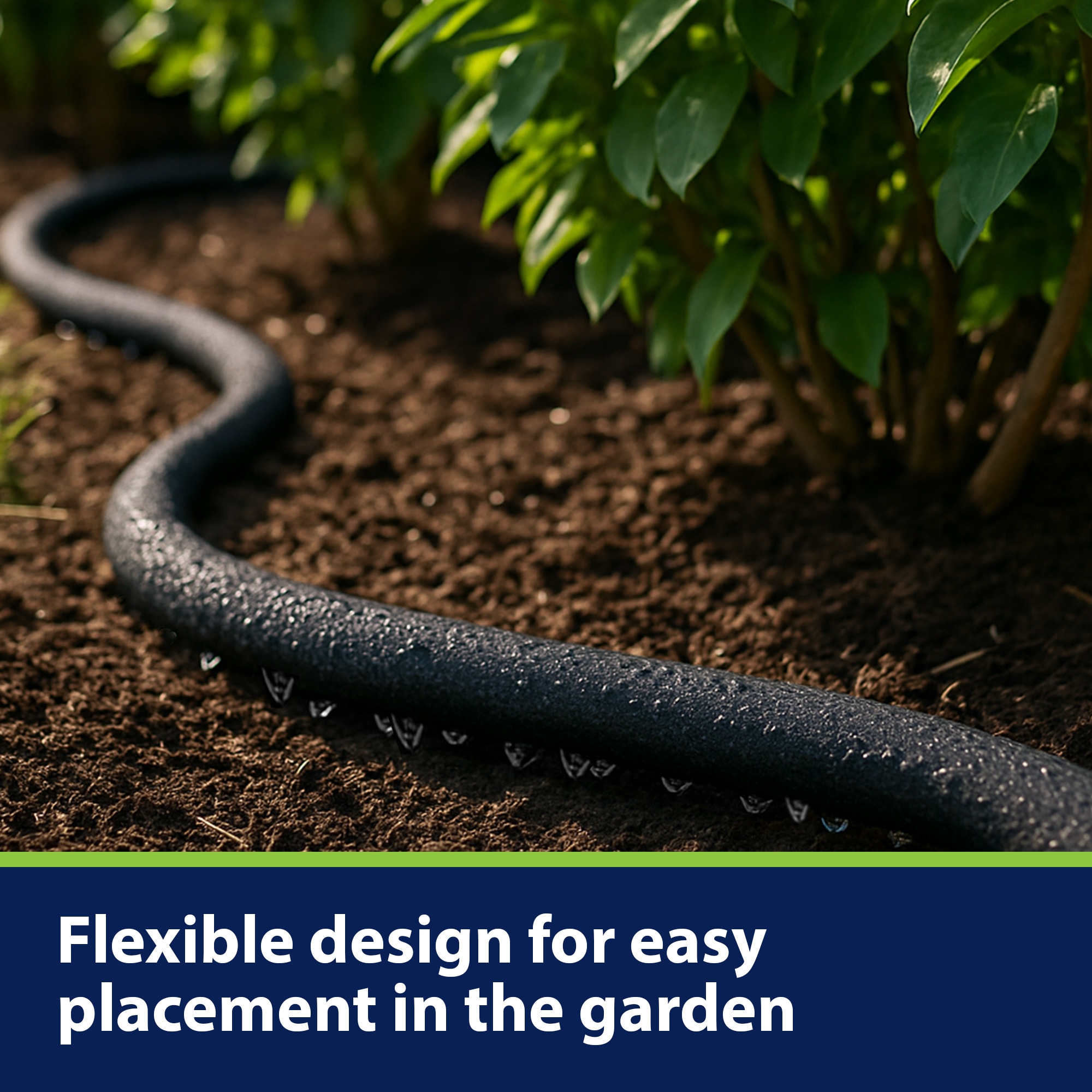 Ray Padula EC-IFSH-SY2 Water-Hoses - View #10