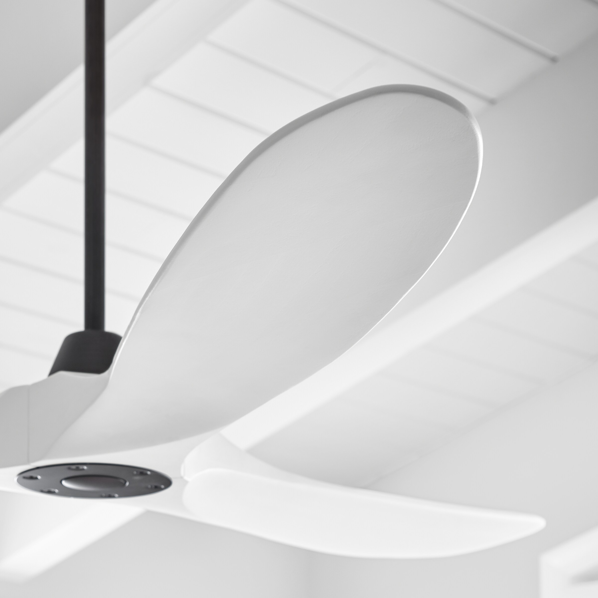 Matte White 60" Ceiling Fan with LED Light and Remote