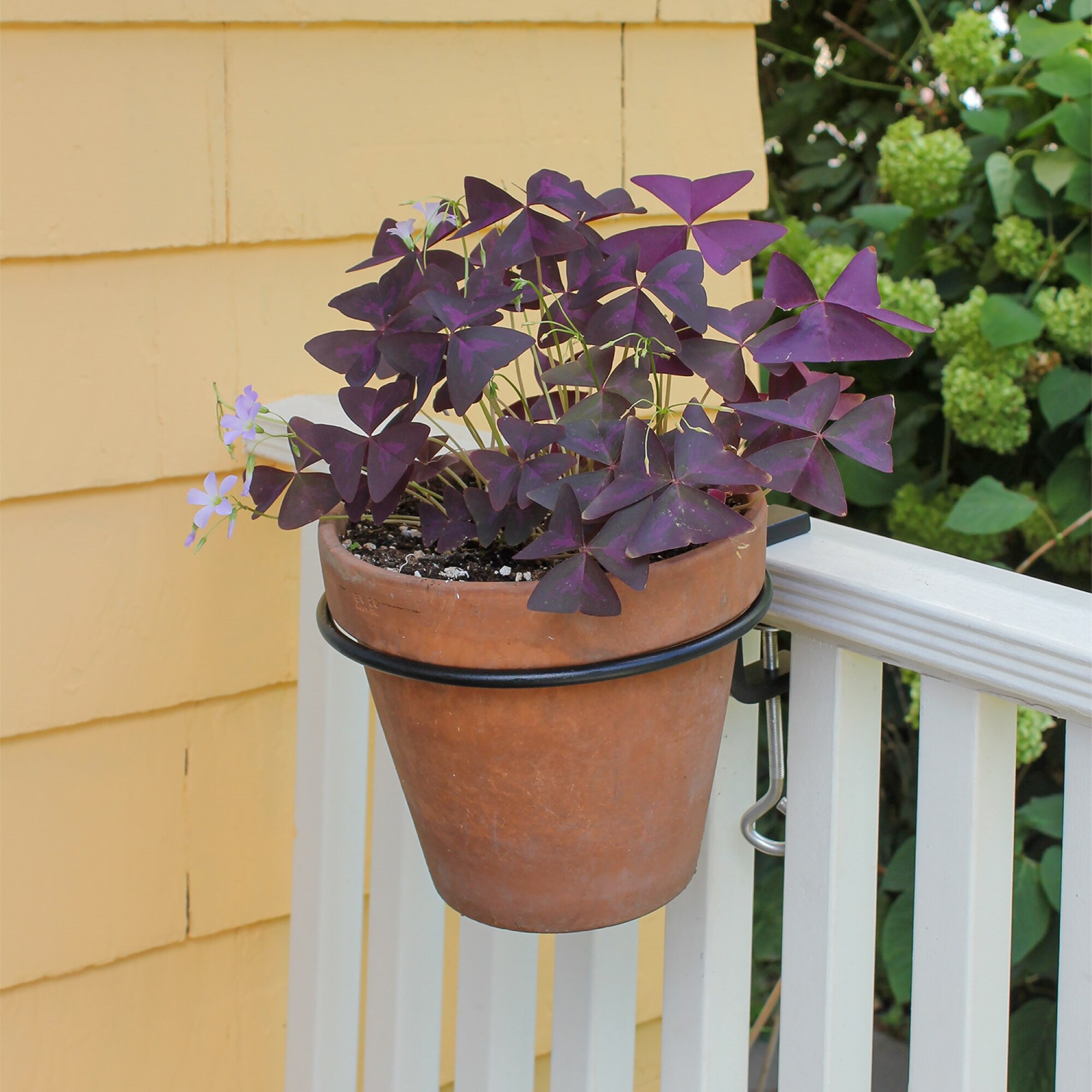 ACHLA Designs 101-1049 Exterior-Brackets-Braces - View #3