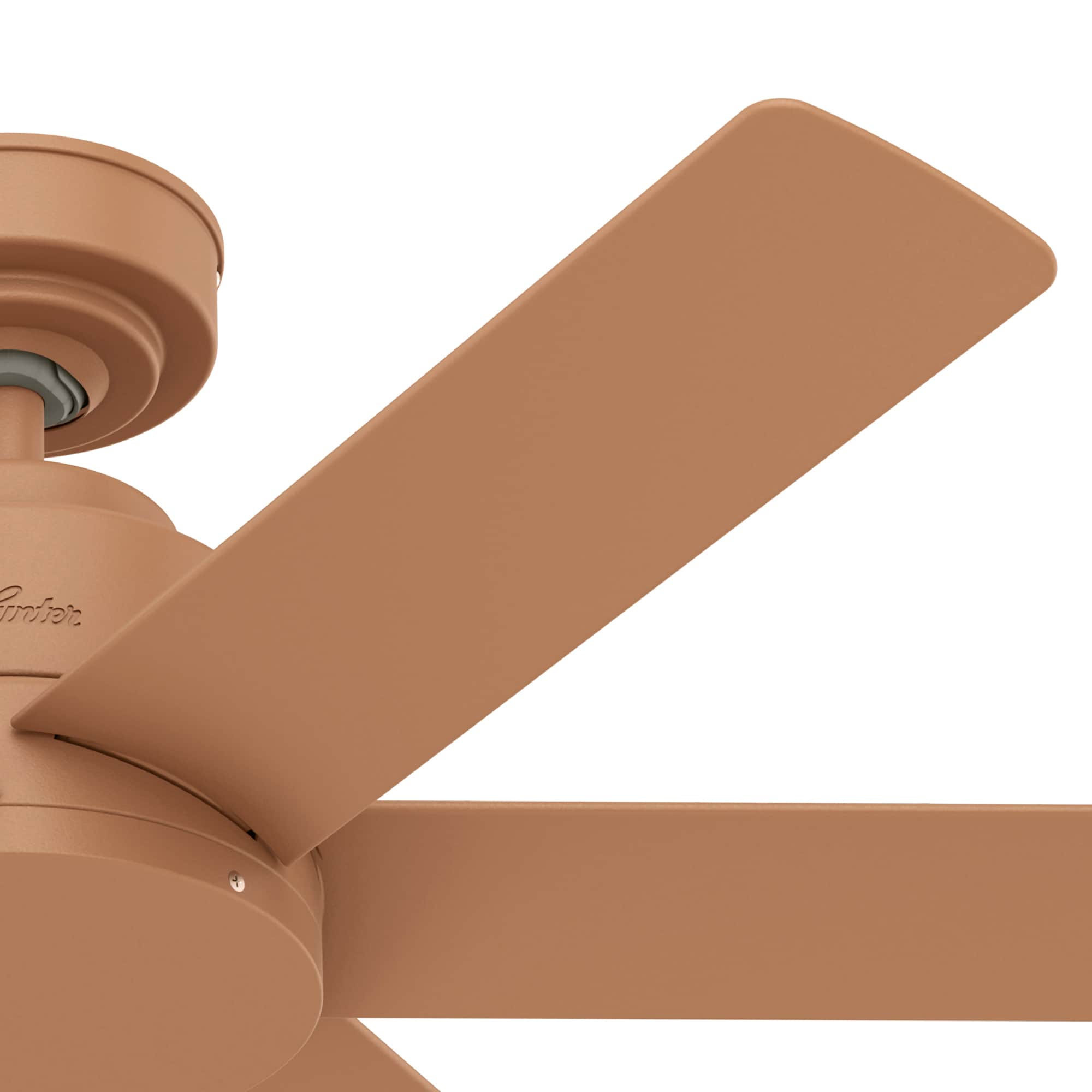 Hunter 51468 Ceiling-Fans - View #8