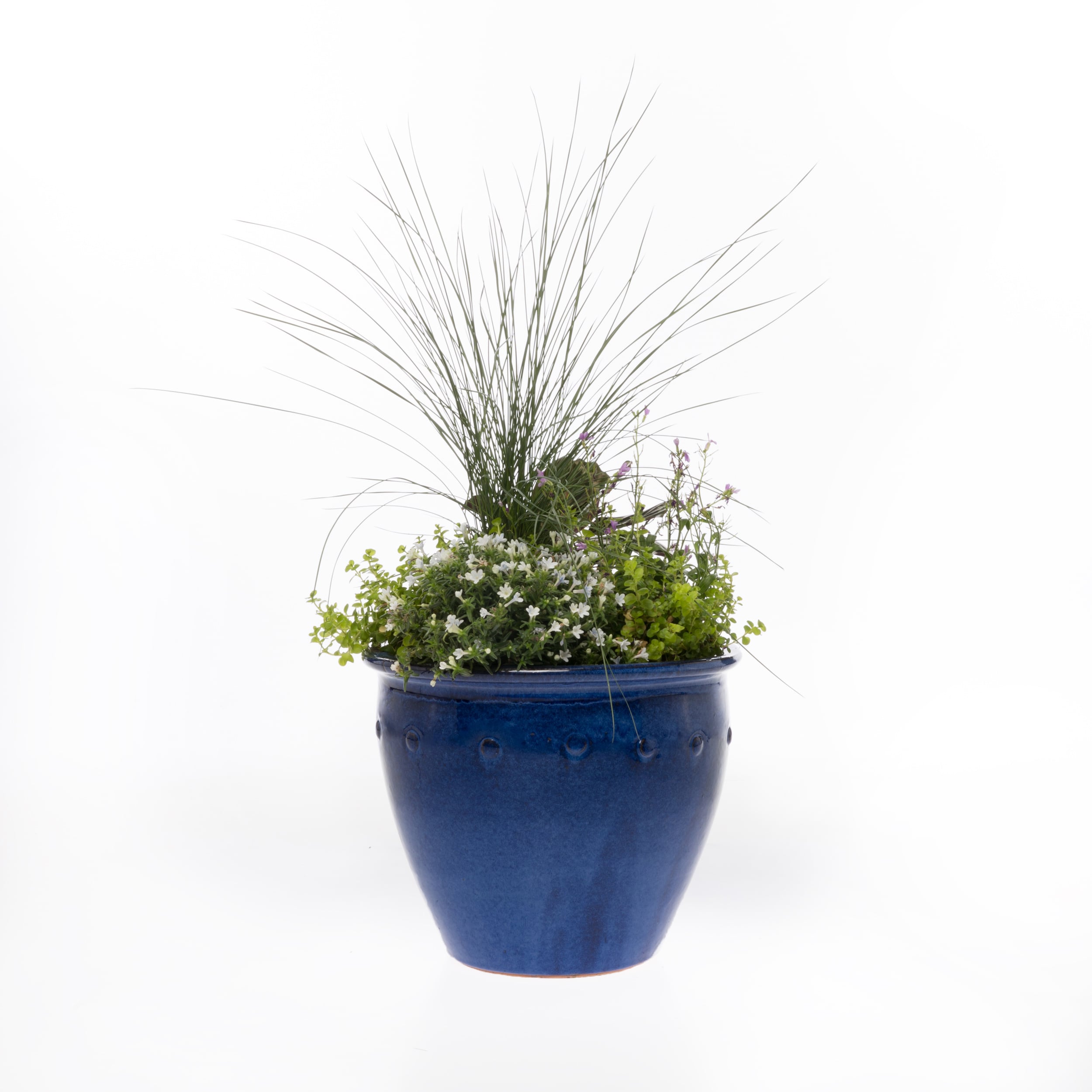 allen + roth 15.6-in W x 14.4-in H Blue Ceramic Indoor/Outdoor Planter in  the Pots & Planters department at