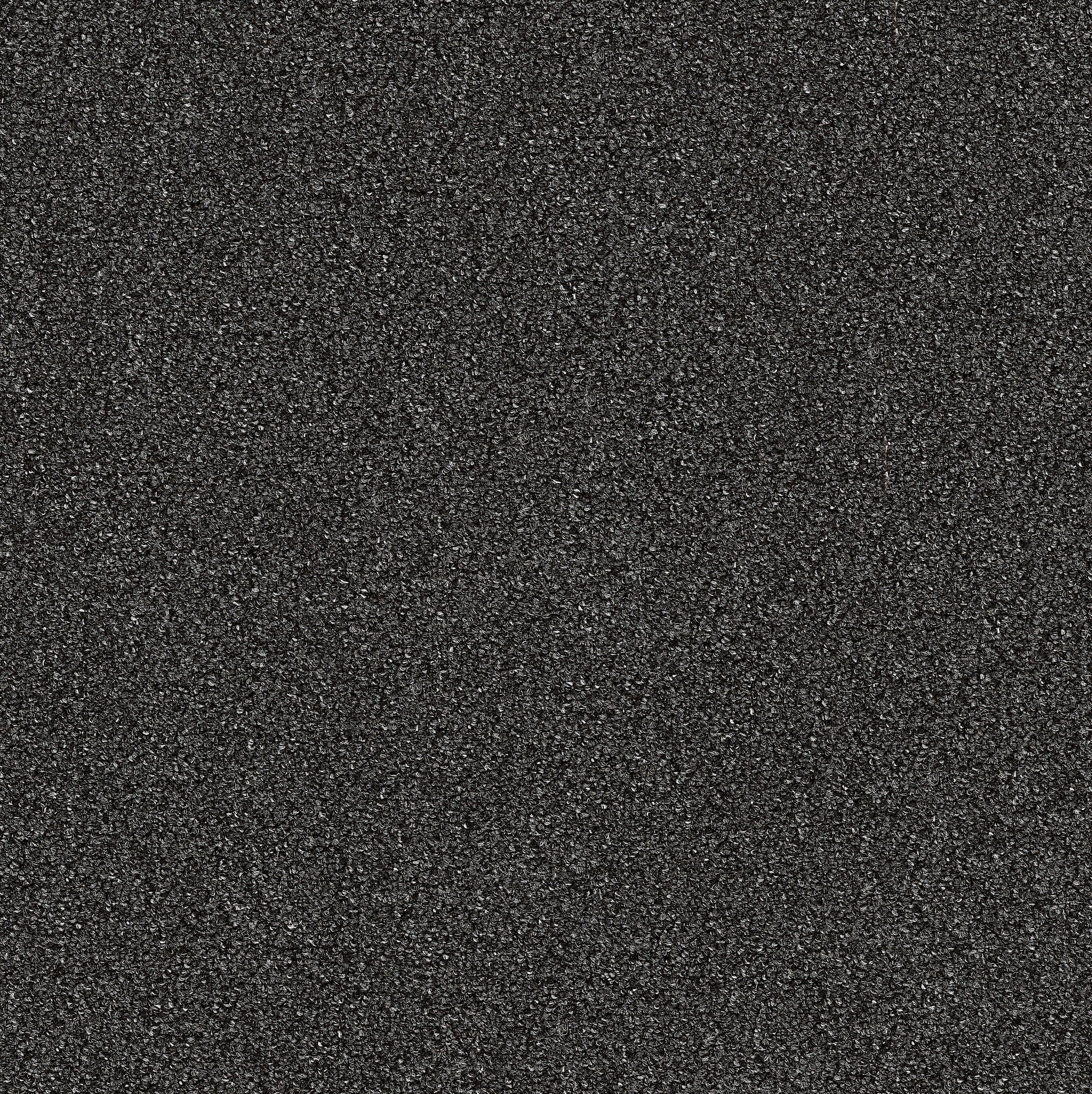 Mohawk LC41-964-0808 (Sample) Home and Office Scholastic 20 Battleship Gray 20-oz sq yard Nylon Textured Indoor Carpet