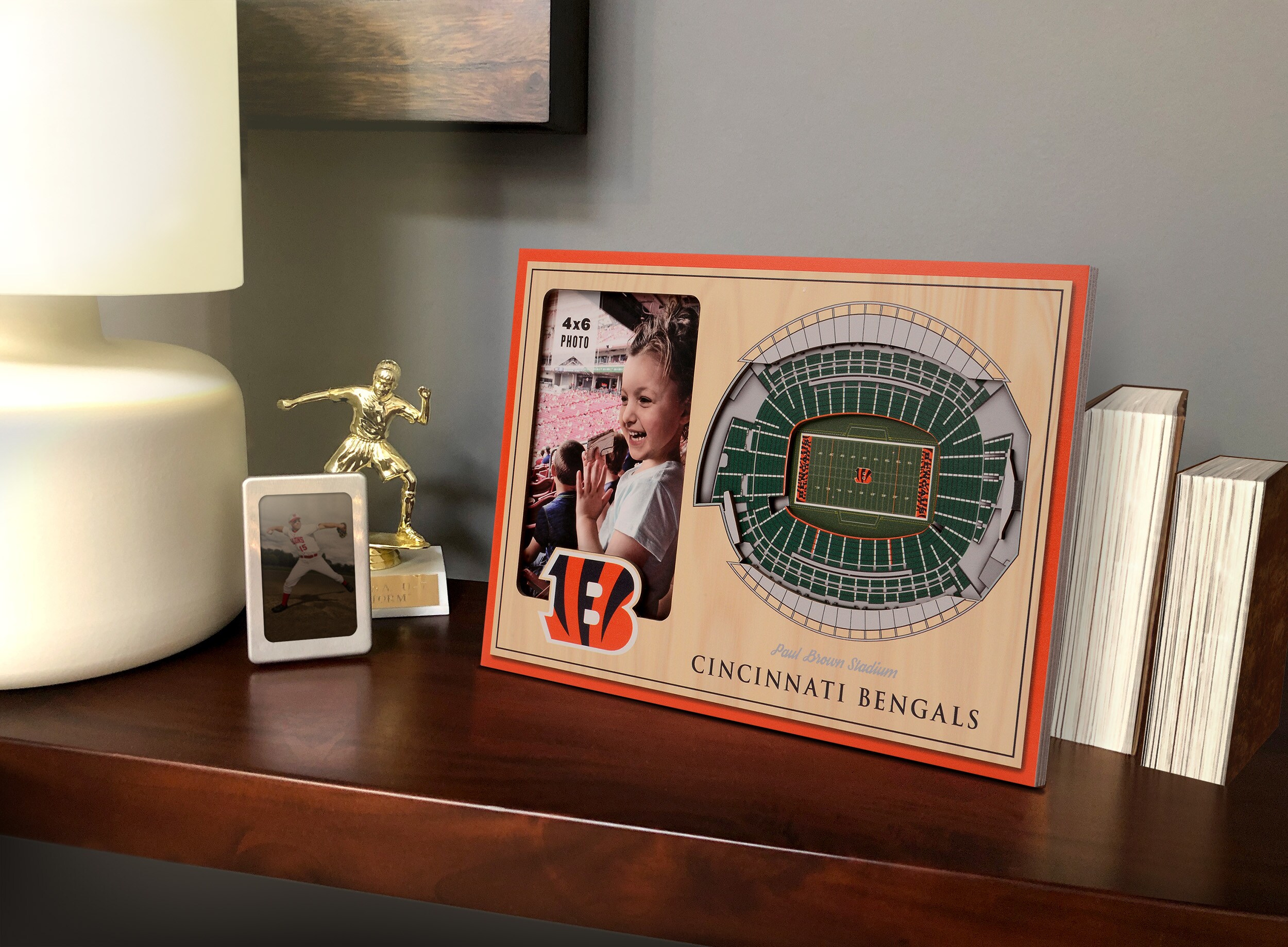 PAUL BROWN STADIUM 11X14 FRAMED PHOTO CINCINNATI BENGALS PICTURE NFL  FOOTBALL