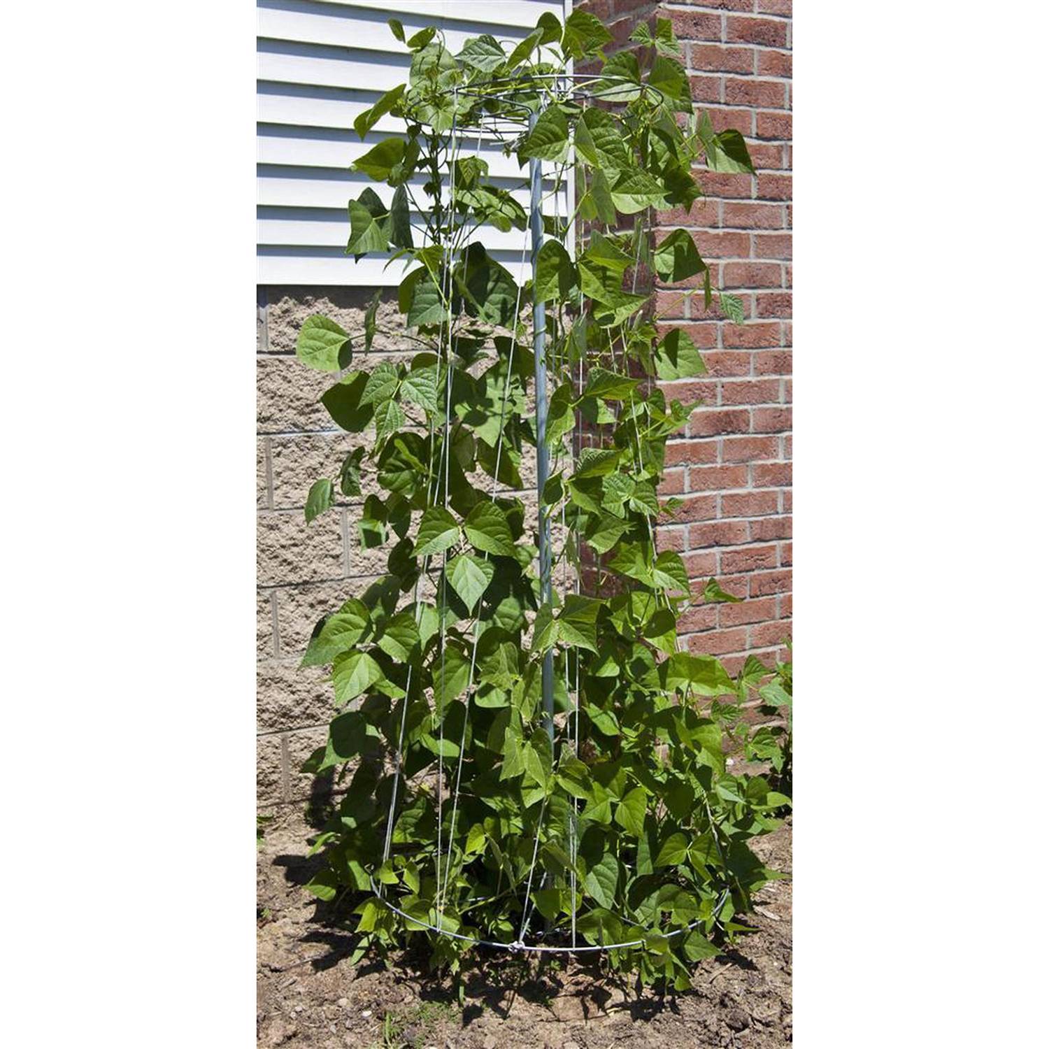 Lehman's 1247125 Tomato-Cages - View #2