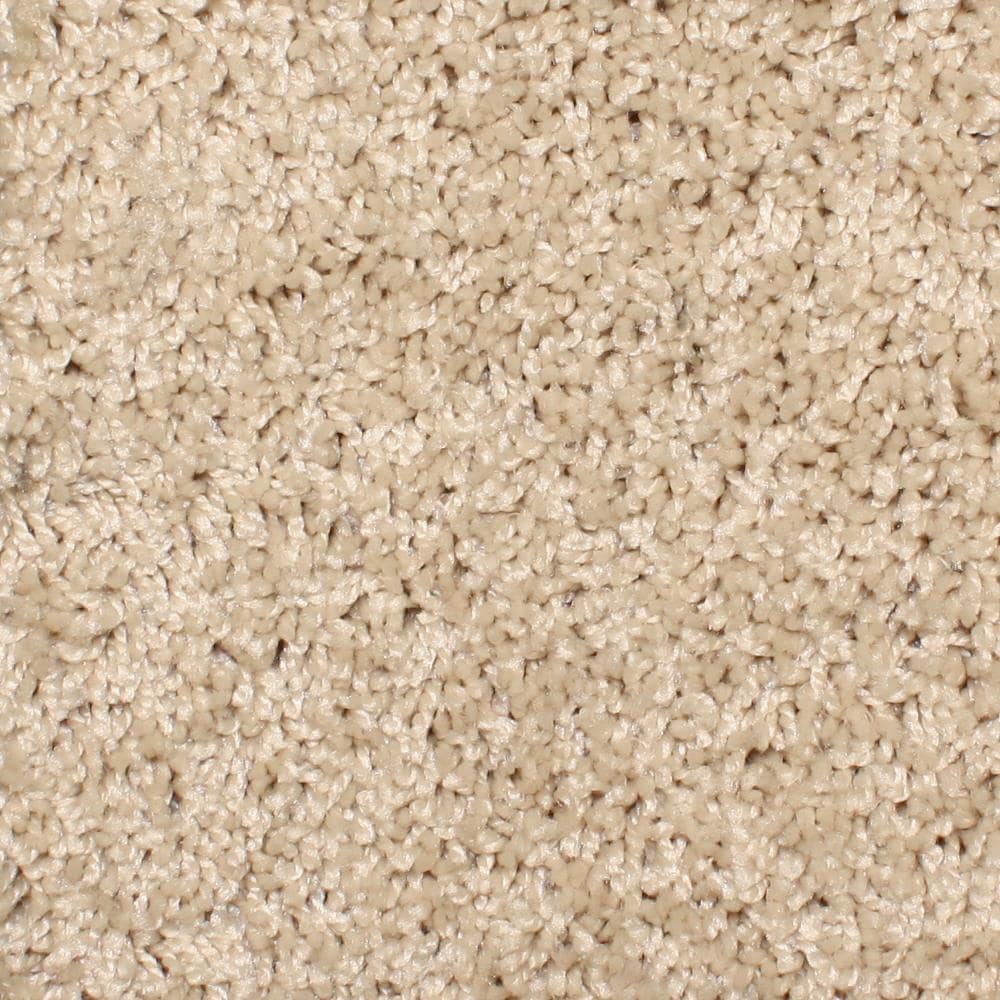 STAINMASTER S9065-1-1200-AB (Sample) Essentials Durand Sand Trap Textured Carpet
