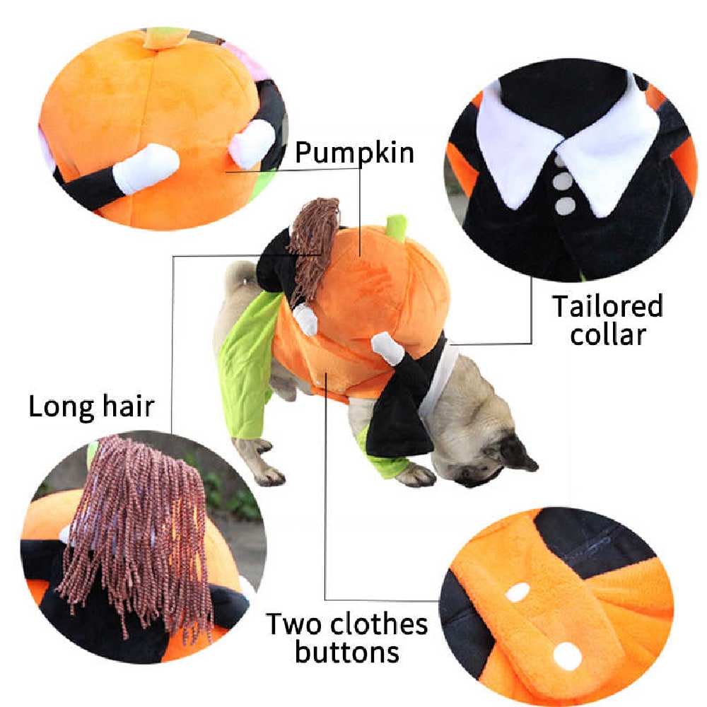Pet Life CM3ORXS costumes - View #3