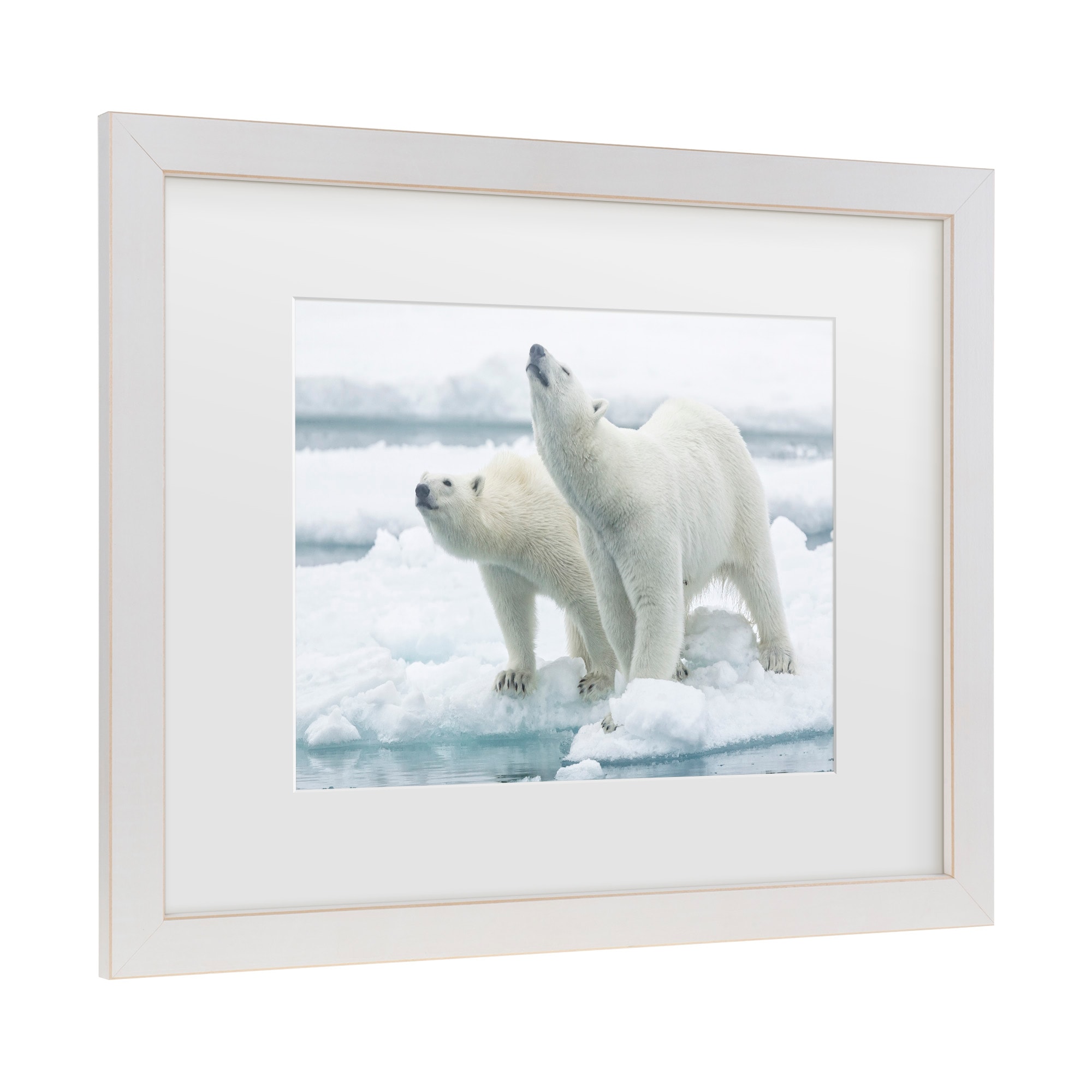 Trademark Fine Art 1X10917-E1114MF Wall-Art - View #3