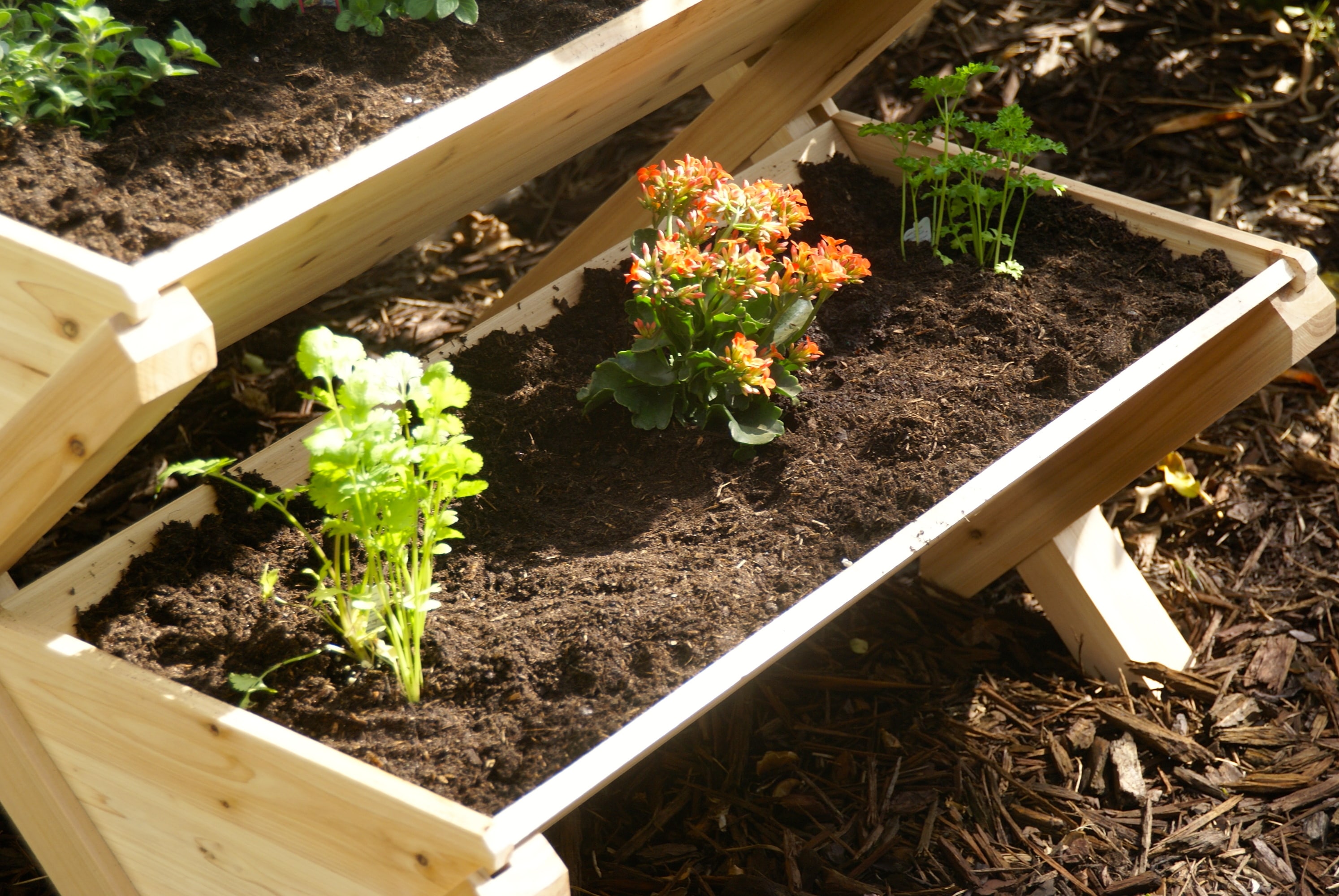 Eden RSI-3TR-37 Raised-Planter-Boxes - View #3