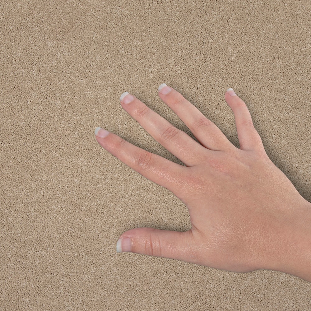 STAINMASTER SS030-12-L012 Carpet-Panel - View #4