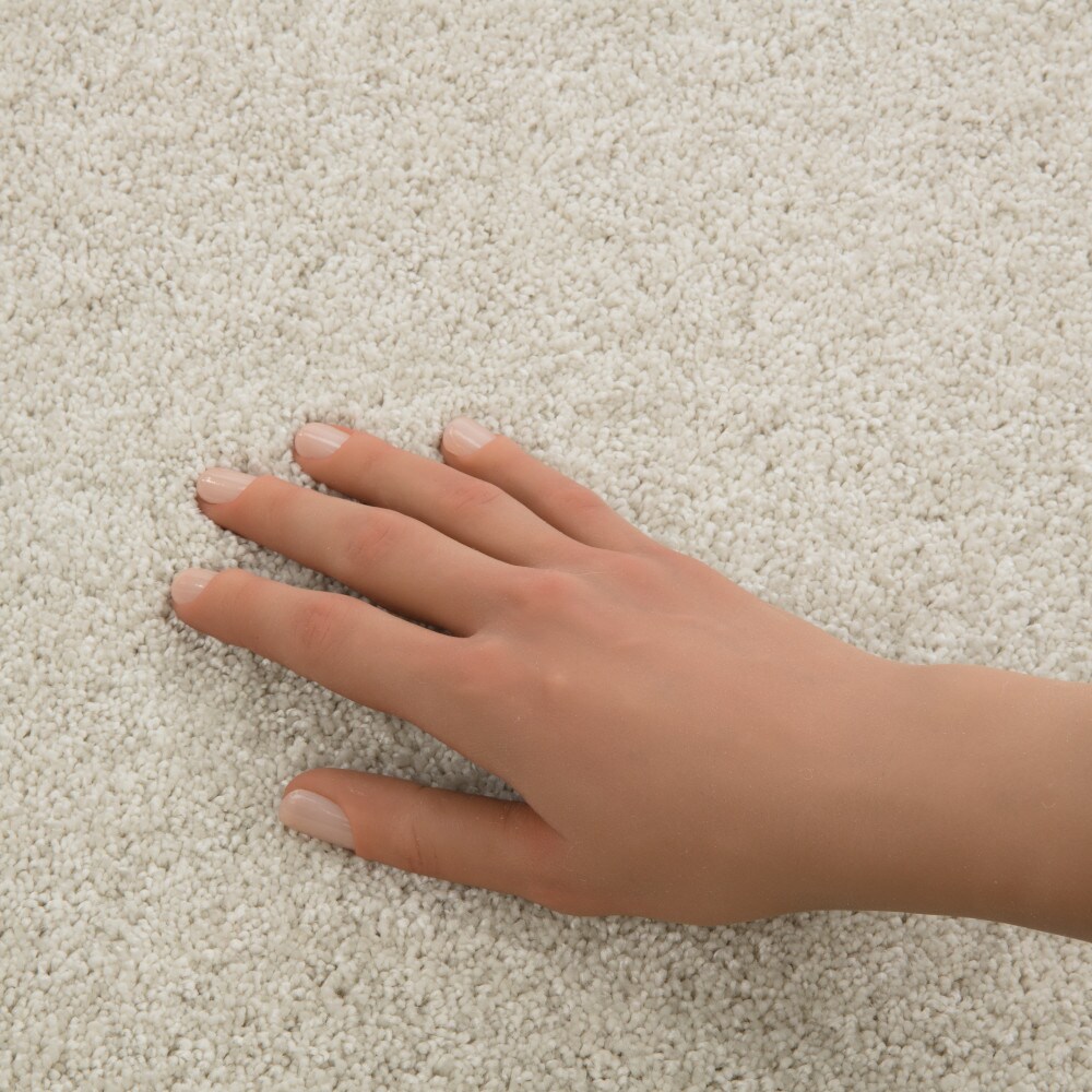 STAINMASTER PetProtect 7L97400116 Carpet-Panel - View #4