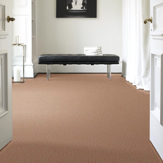 STAINMASTER Signature Private Oasis II Papillion Textured Carpet (Interior) in the Carpet