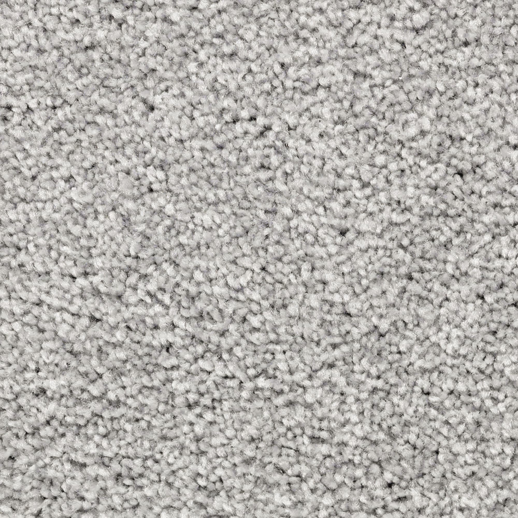 STAINMASTER PetProtect SS022-L001-0808 (Sample) Splendid Option II Winter Sky Gray 50-oz sq yard Triexta Textured Indoor Carpet