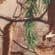 Realtree Xtra
