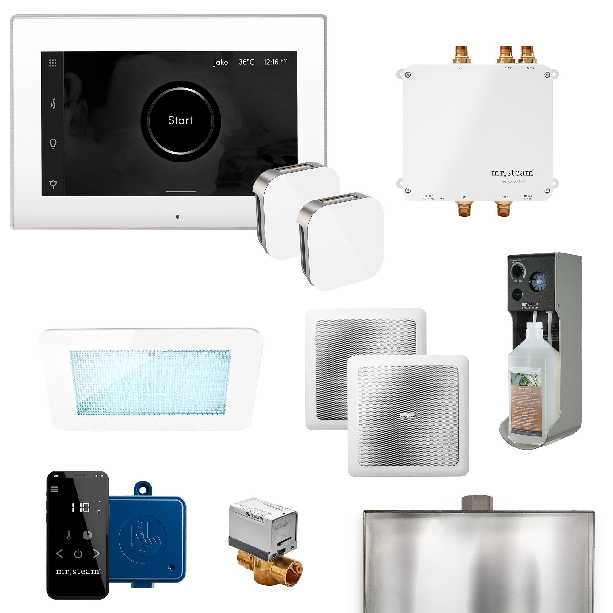 Mr. Steam BLS-BKXPB Bliss Max 600-Watt Polished Brass Steam generator control kit
