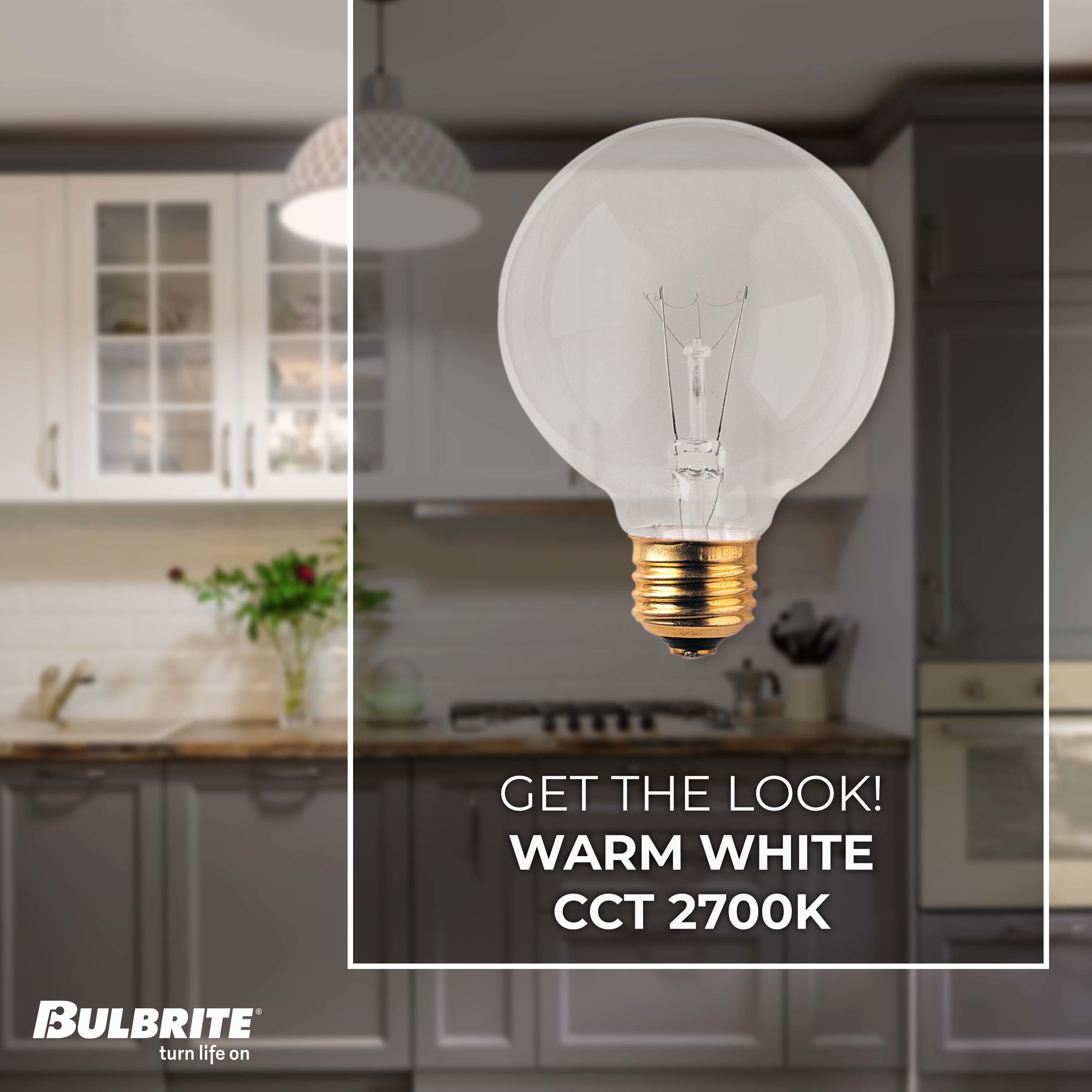 Bulbrite 861021 Dec-Led-Light-Bulbs - View #3