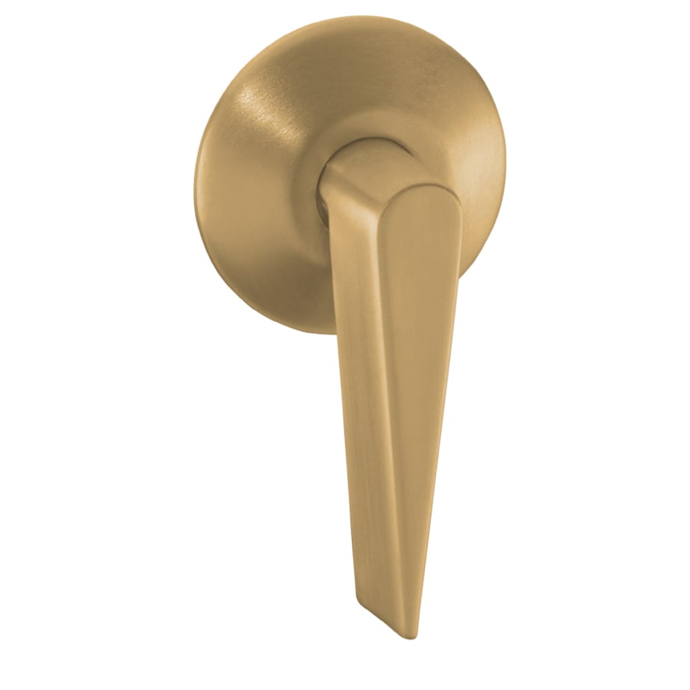 Gold Toilet Handles at Lowes.com