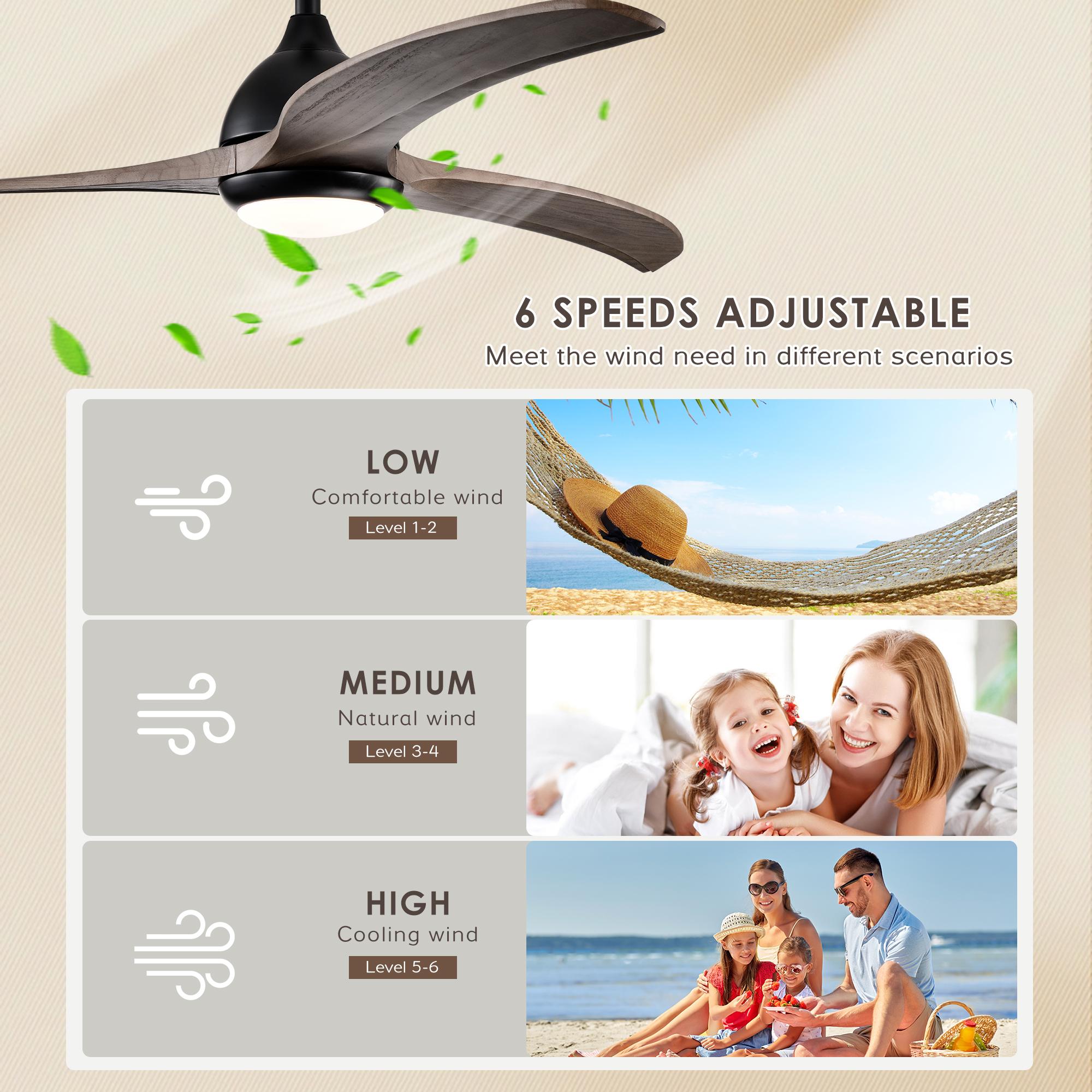 Bayfeve BFHM-76977-CF Ceiling-Fans - View #7
