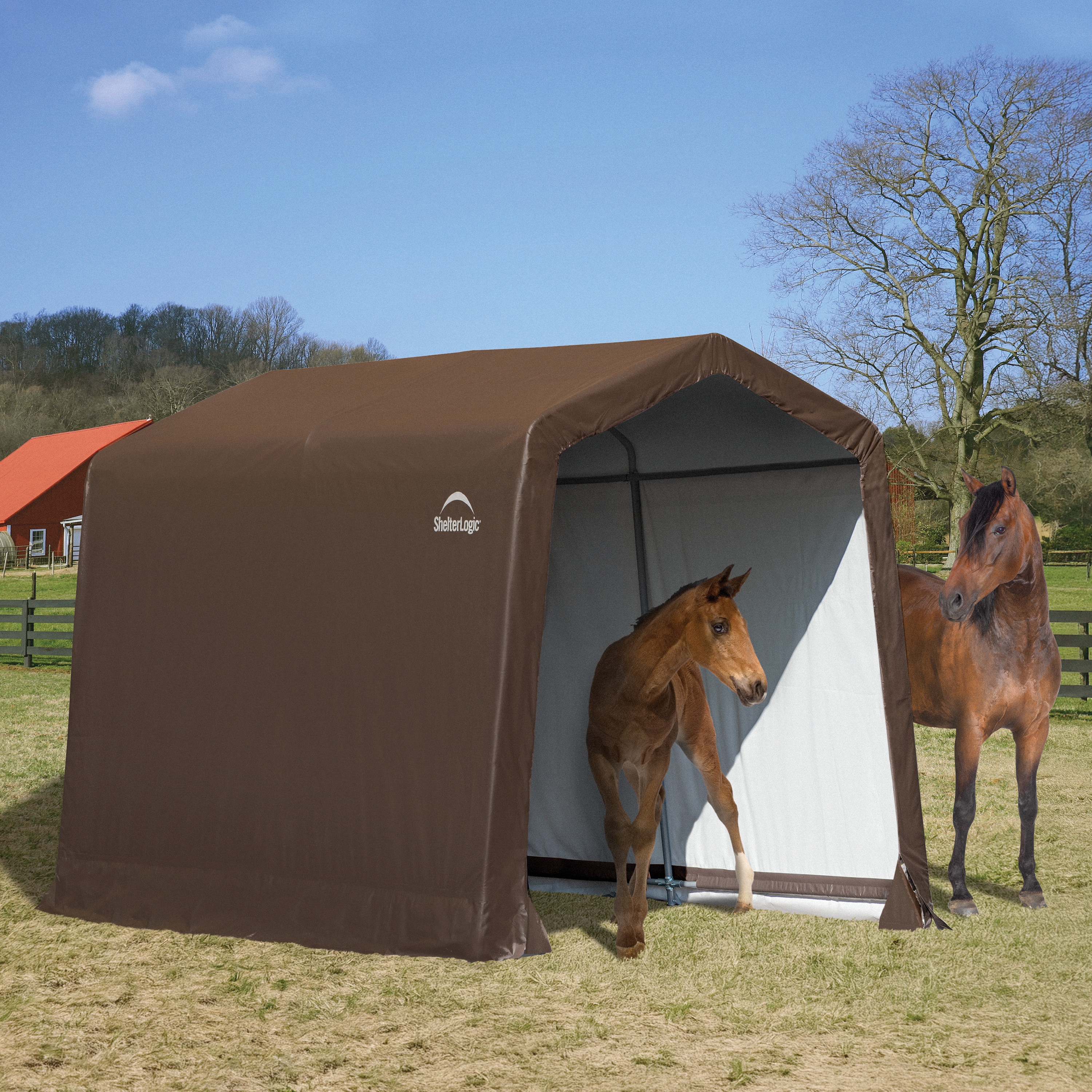 ShelterLogic 60400 10-ft x 10-ft Canopy Storage Shelter