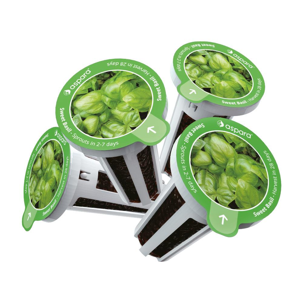 aspara KHB0001 Vegetable-Herb-Seeds - View #2