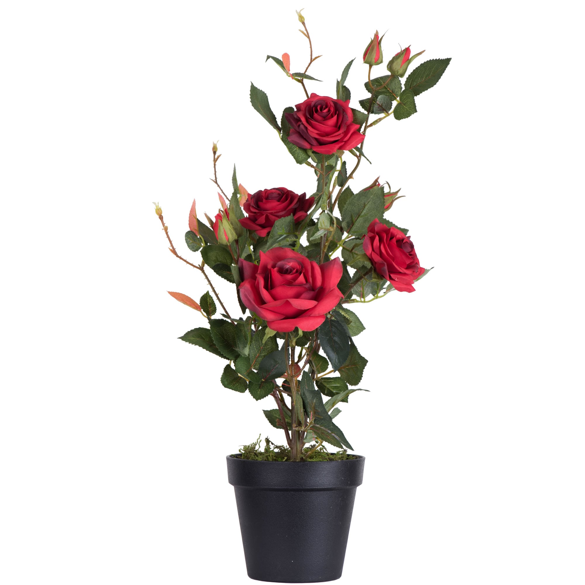 Vickerman TA181703 21-Inches Red Indoor Desktop Rose Artificial plant
