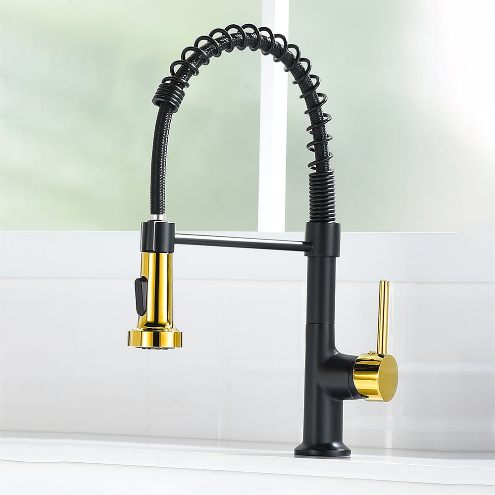 Fapully FA-B-1002BG Kitchen-Faucets - View #2