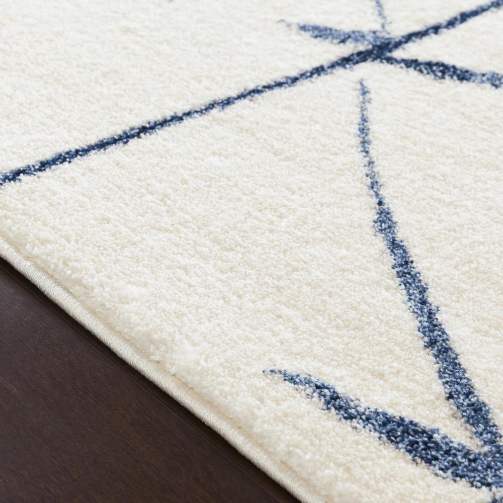 Surya BYL1006-7101010 rugs - View #4
