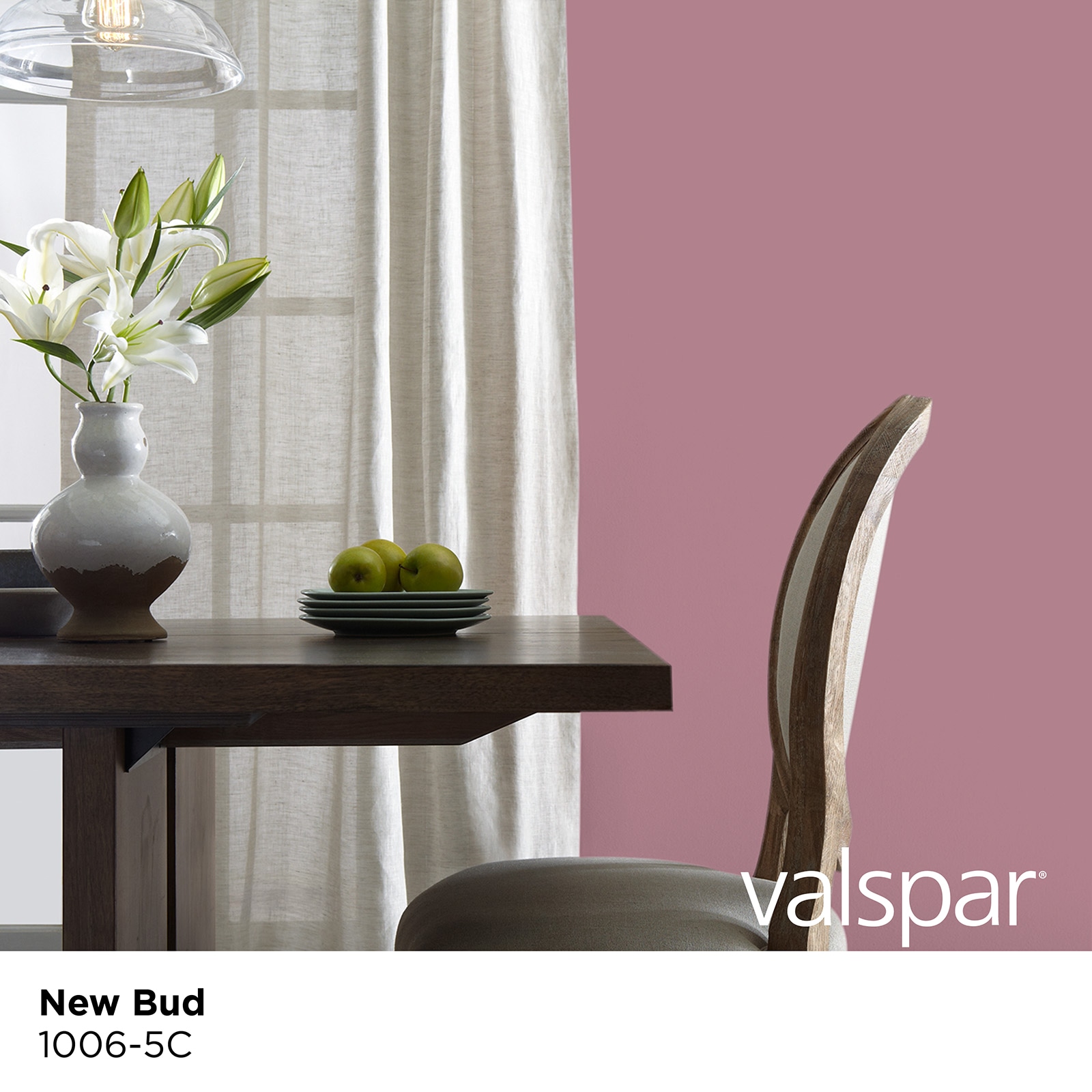 Valspar 1006-5C-2916575 Int-Ext-Paint - View #3