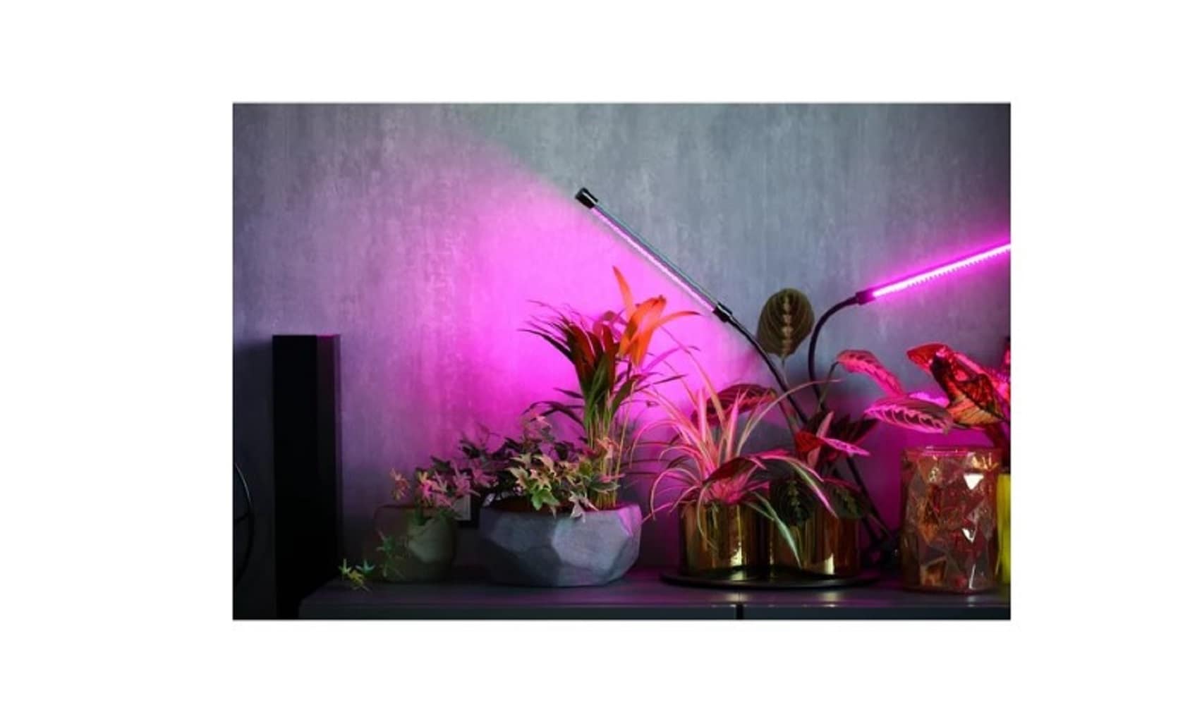 LIFEBULB LB-AFG2 Grow-Lights - View #9