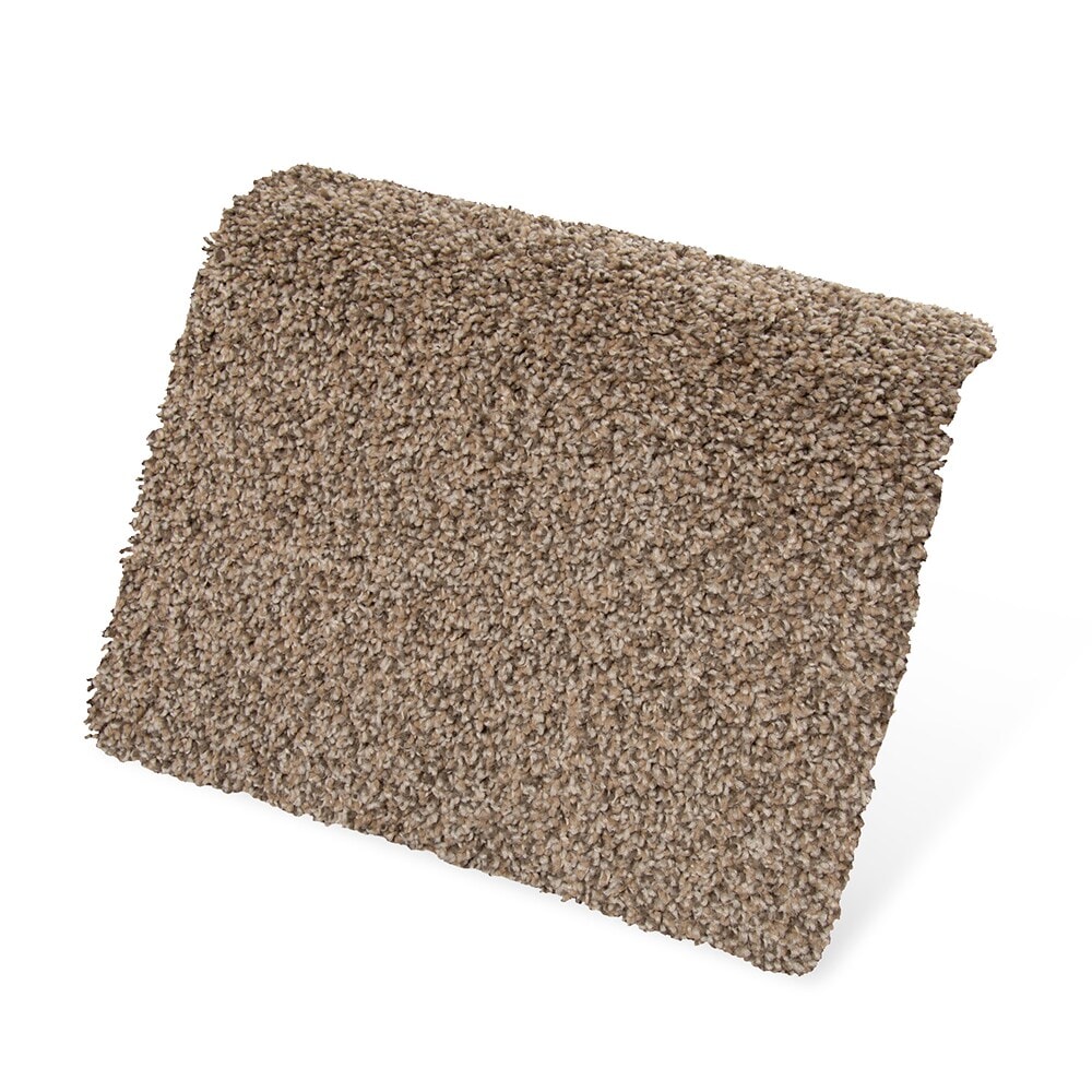 Style Selections SS016-L002-0808 Carpet-Samples - View #3